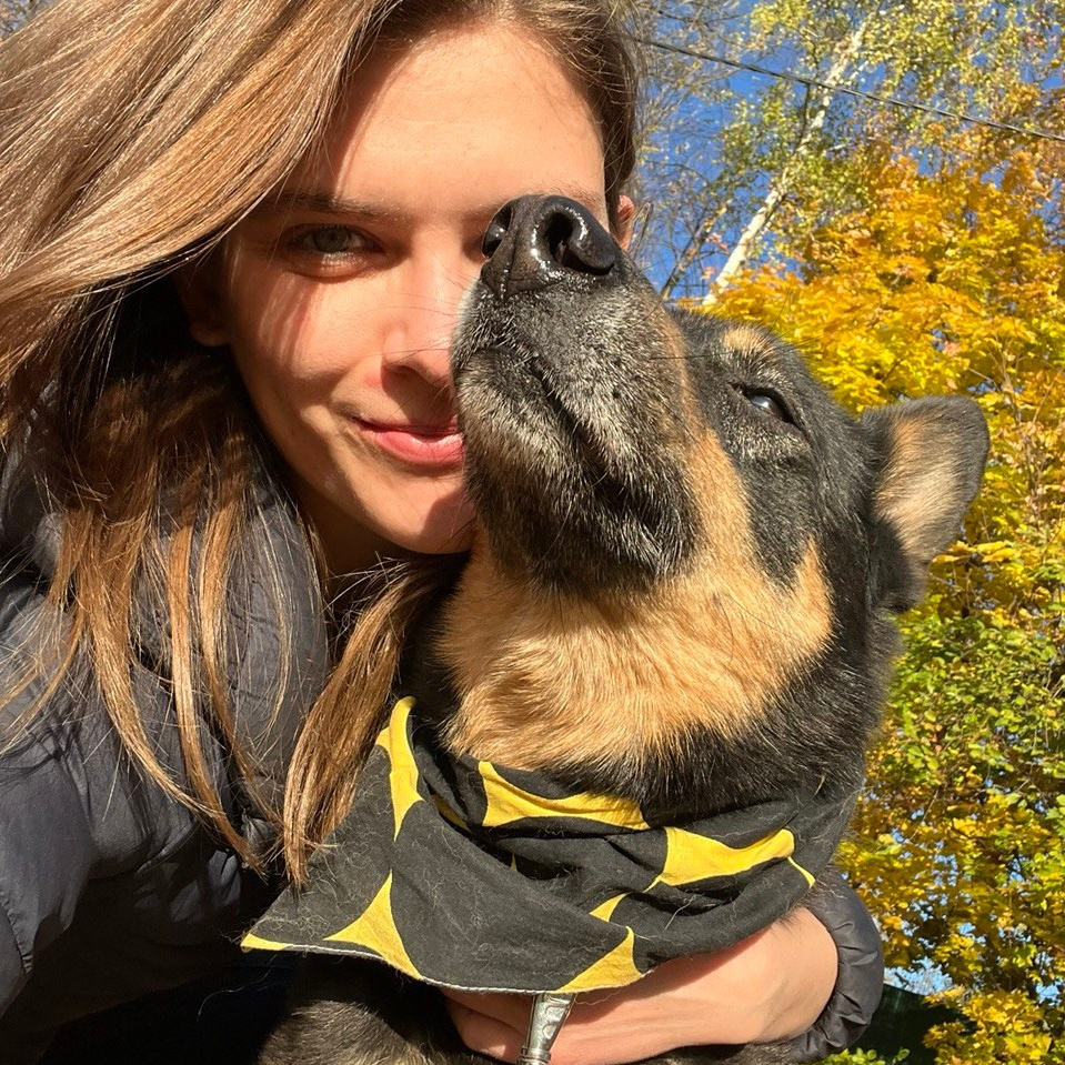 О нас. Забери домой друга