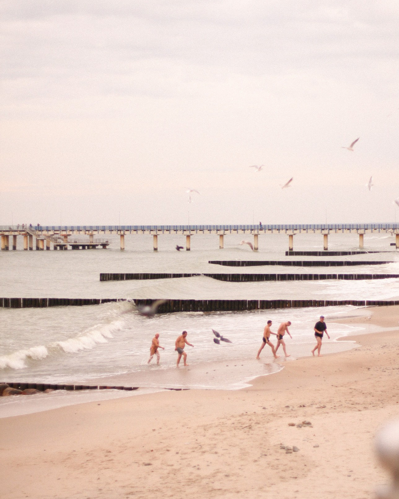 Путешествие с нами в Зеленоградск. Анна Чугунова