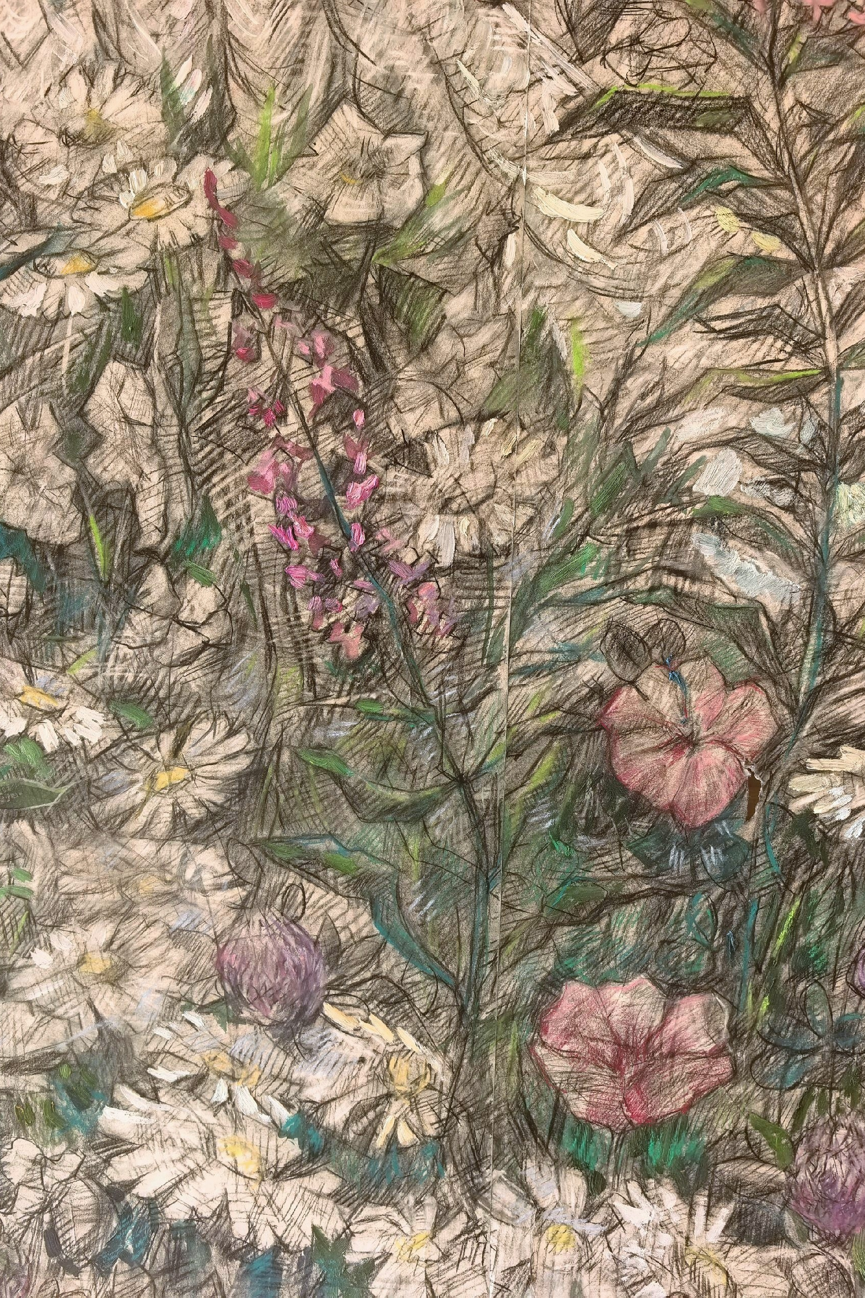 Биография. Художник и гид по Камчатке Евгений Чайкин