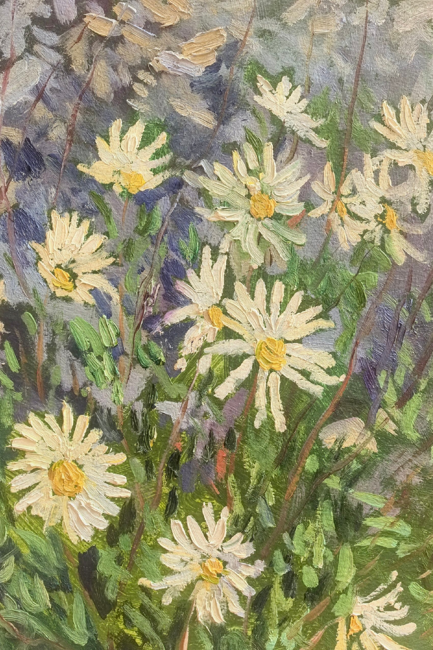 Биография. Художник и гид по Камчатке Евгений Чайкин