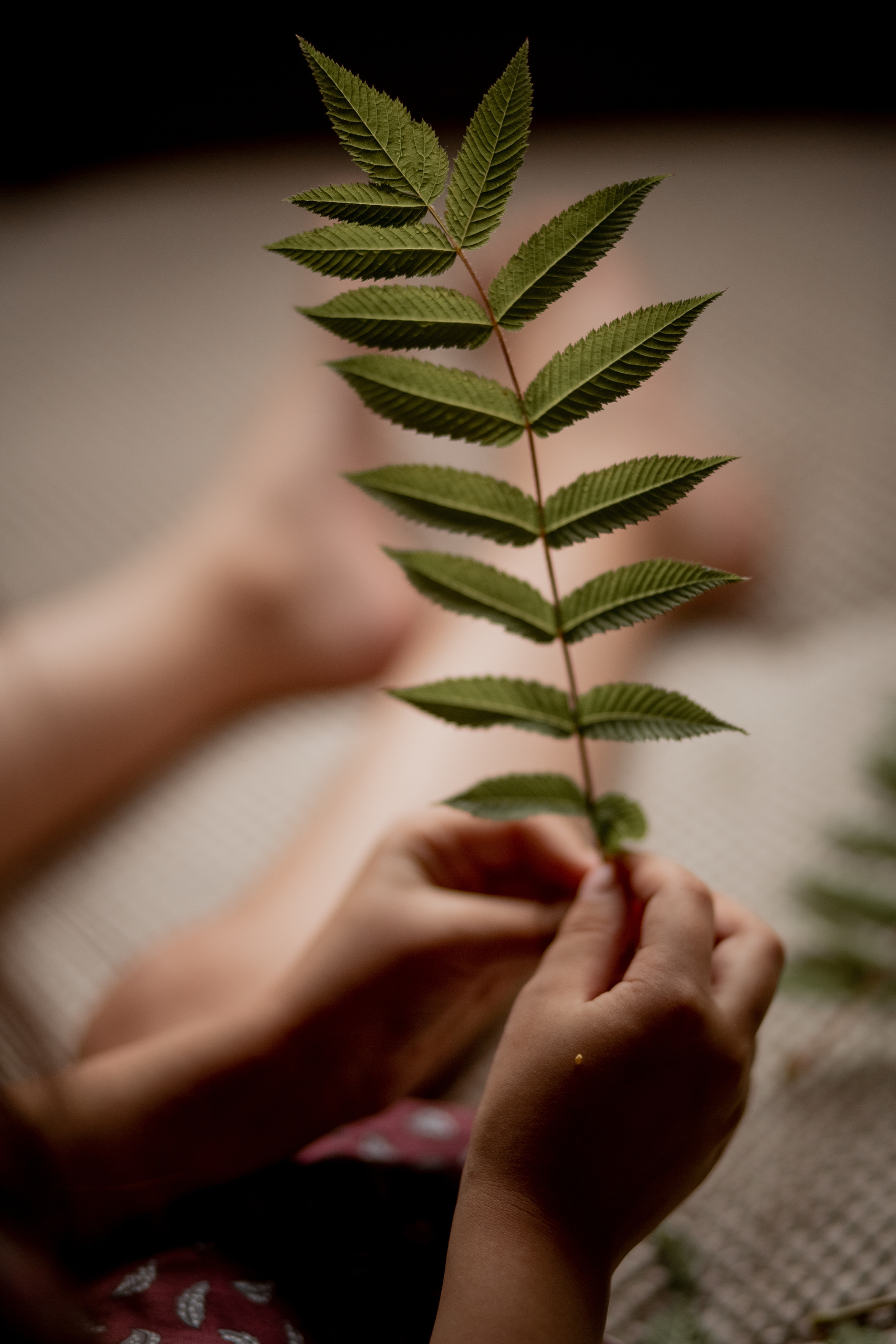 Услуги. Семейный, детский фотограф, видеограф. Город Владивосток Рубцова Юлия