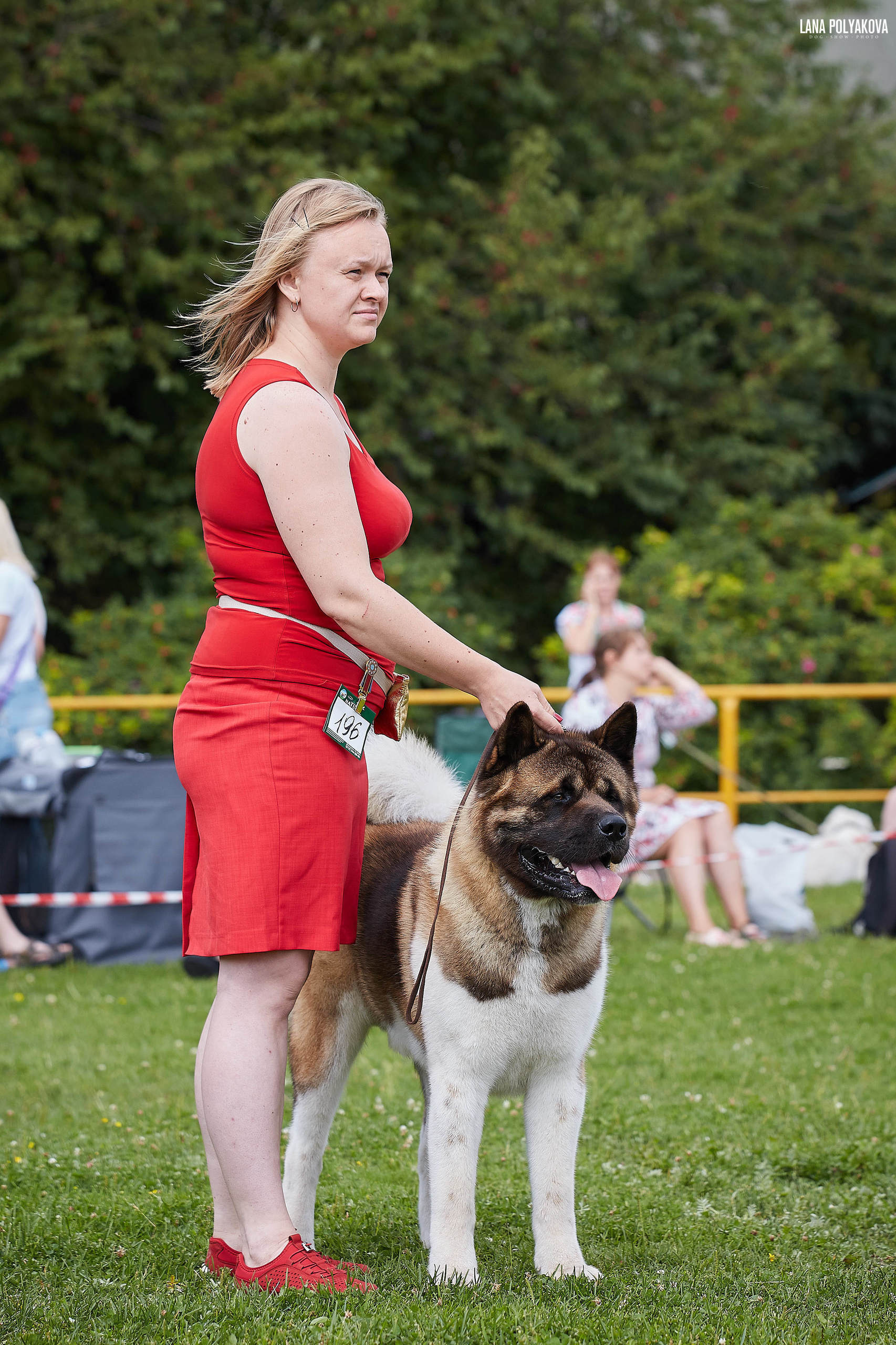 ГАЛС * IMAGINE DRAGON