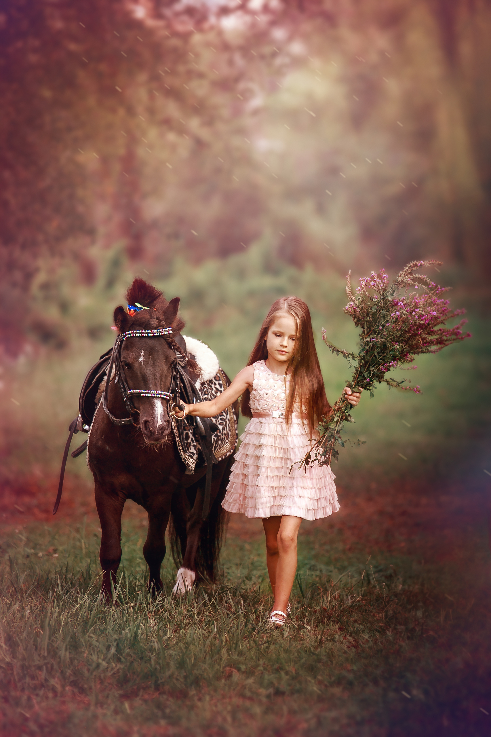 Продвижение для фотографа. Фотограф Сочи. Фотосессии, фотокниги, обучение фотографии