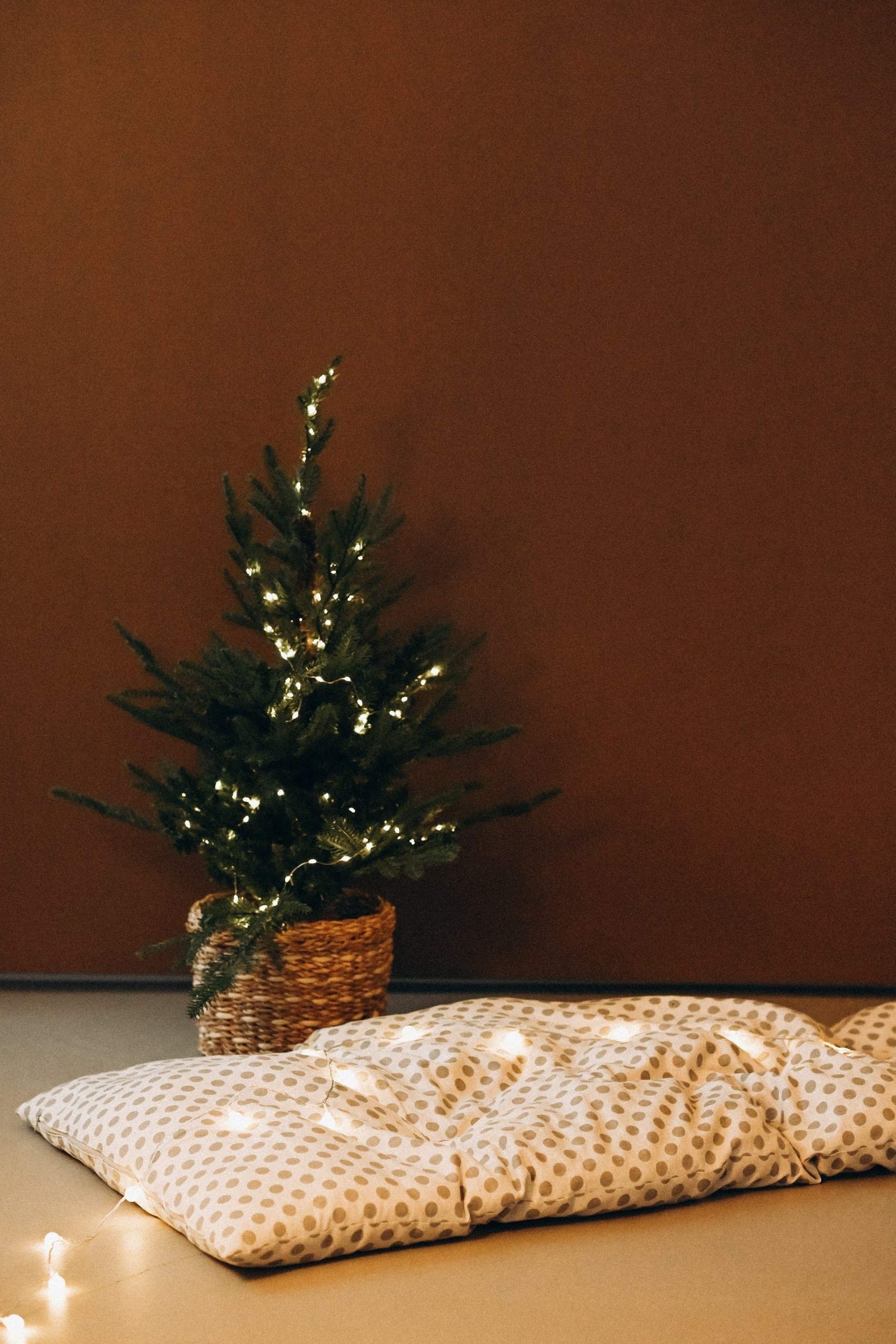 НОВОГОДНИЕ СТУДИИ 2026 город ВЛАДИМИР