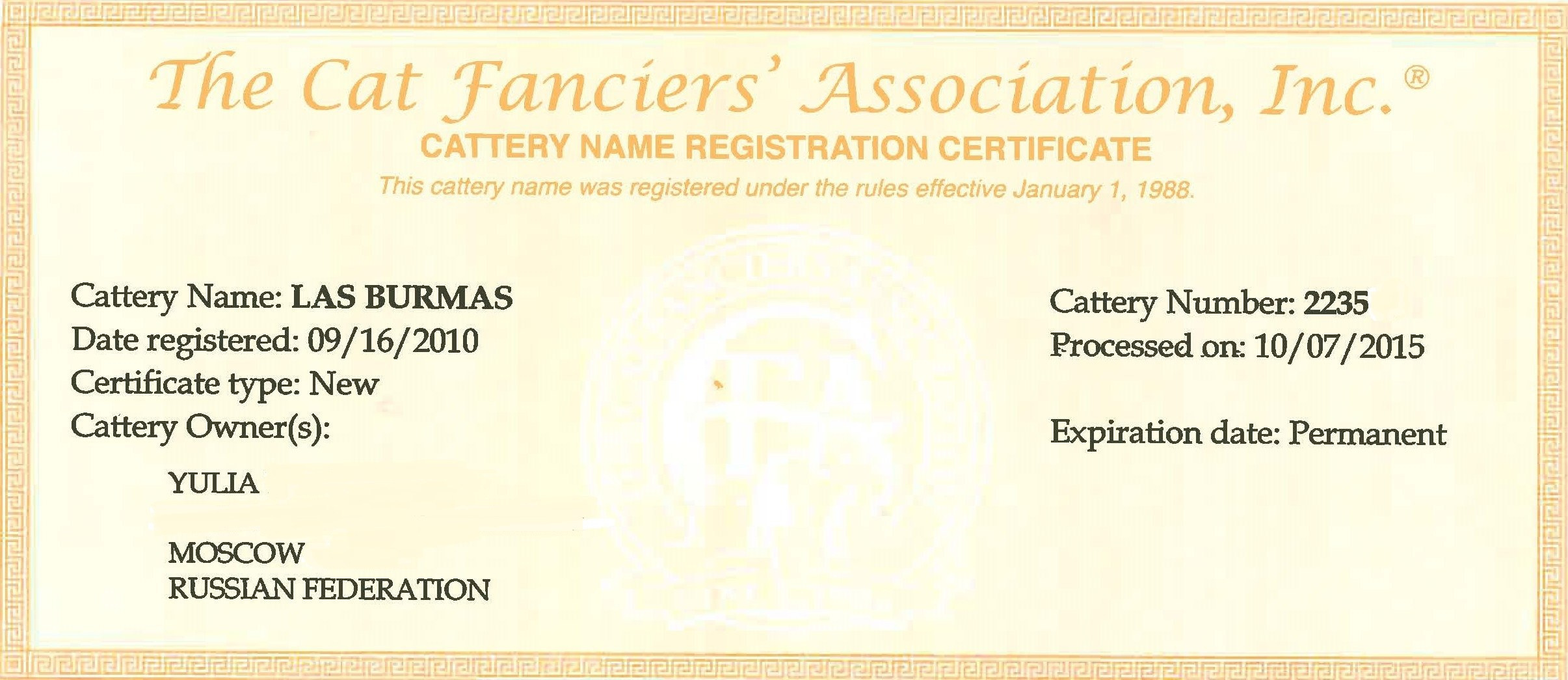 питомник бурманских кошек