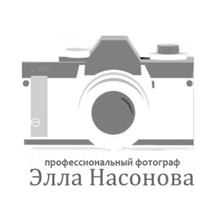 ellaprofoto.ru