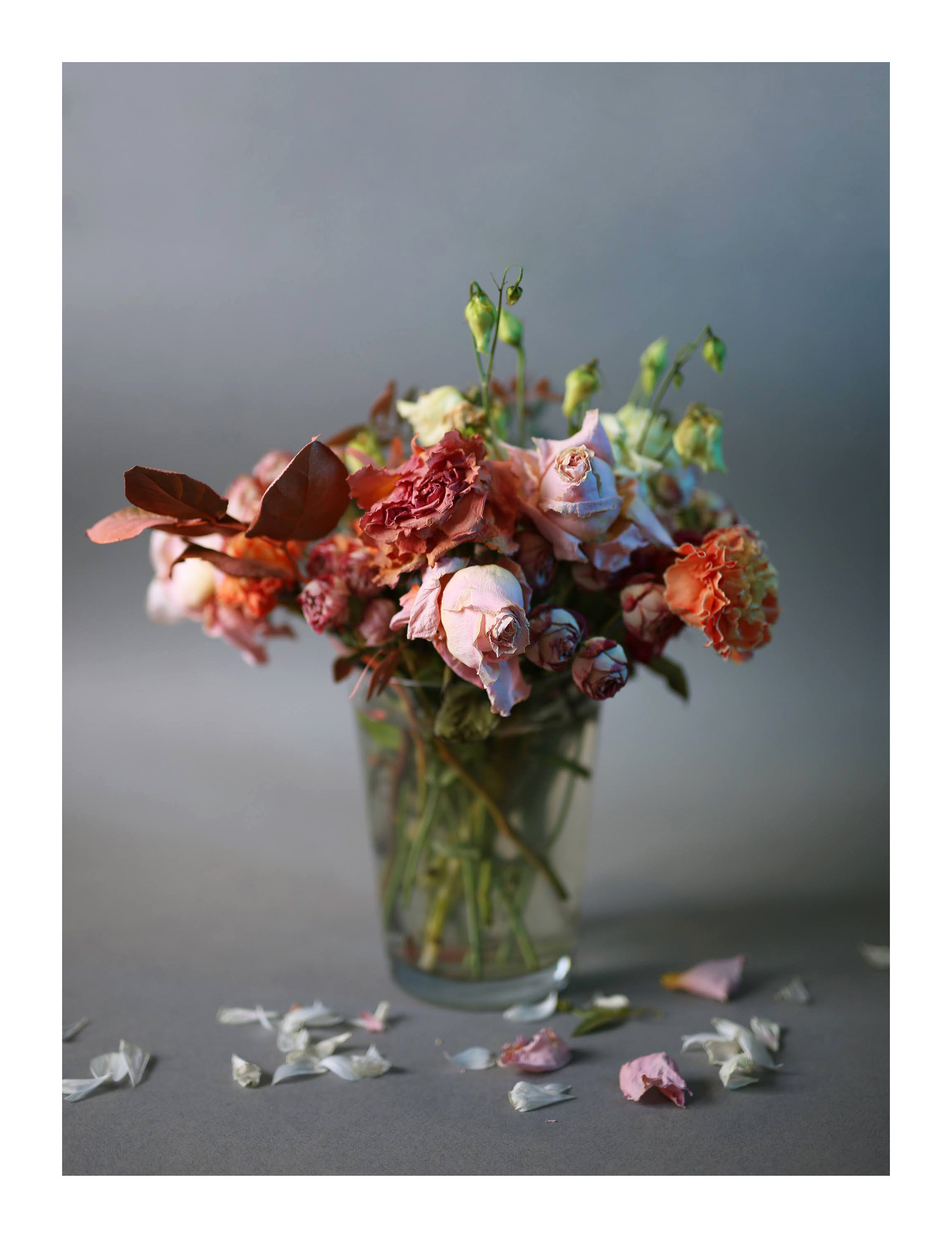 «Природа тела». Наталья Чернобровкина — междисциплинарный художник