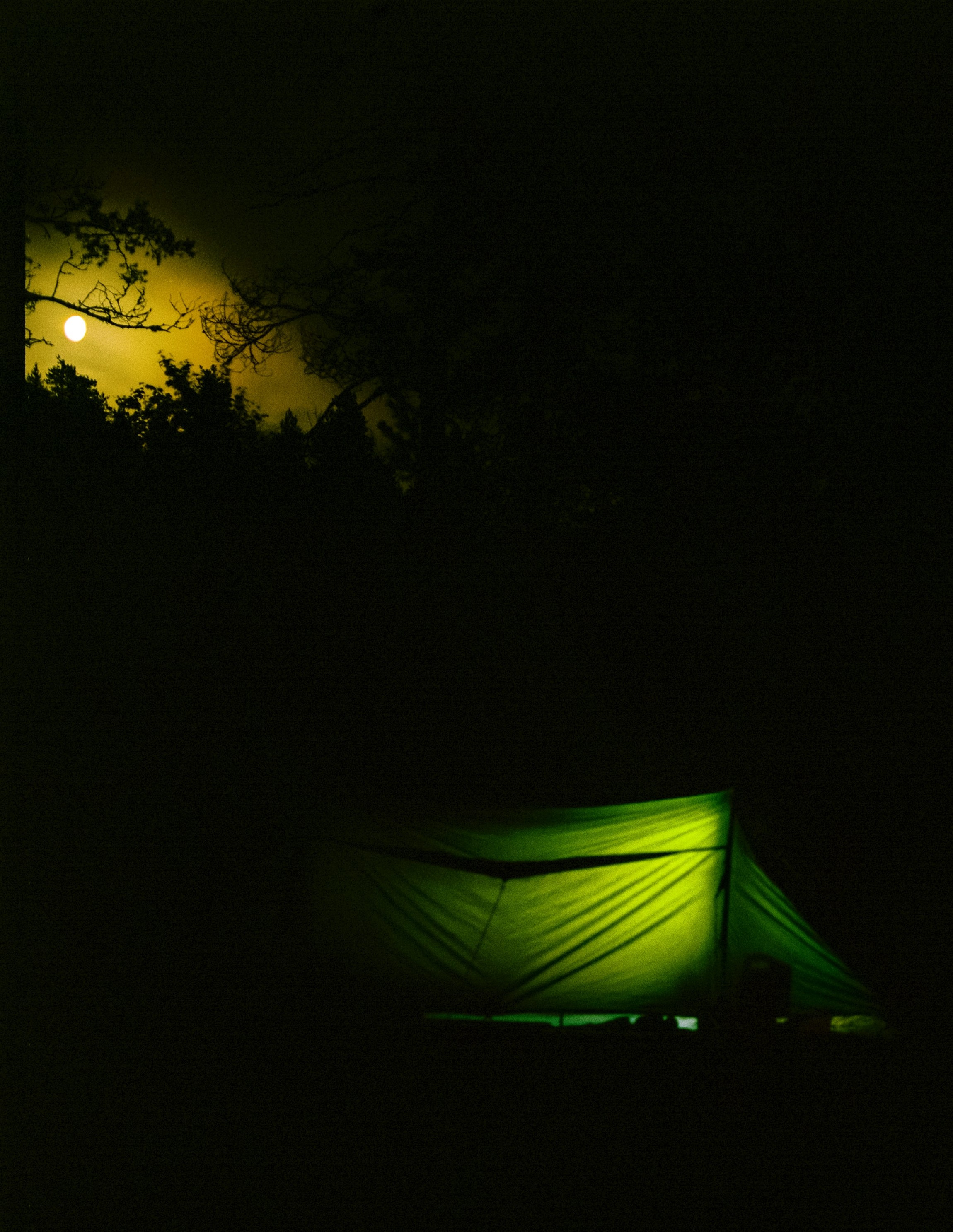 Карелия 2024. Стилист и плёночный фотограф Анастасия Шлокова в Санкт-Петербурге и Москве