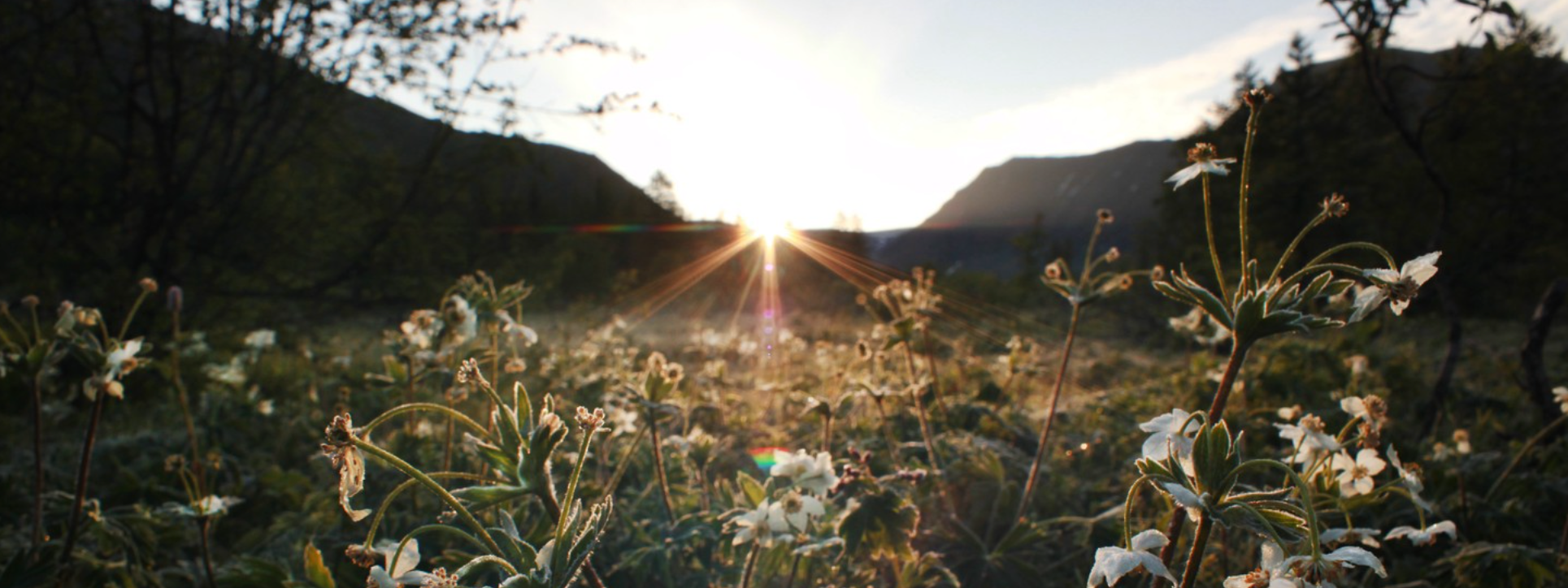 Фотограф в Санкт-Петербурге Екатерина Спикс