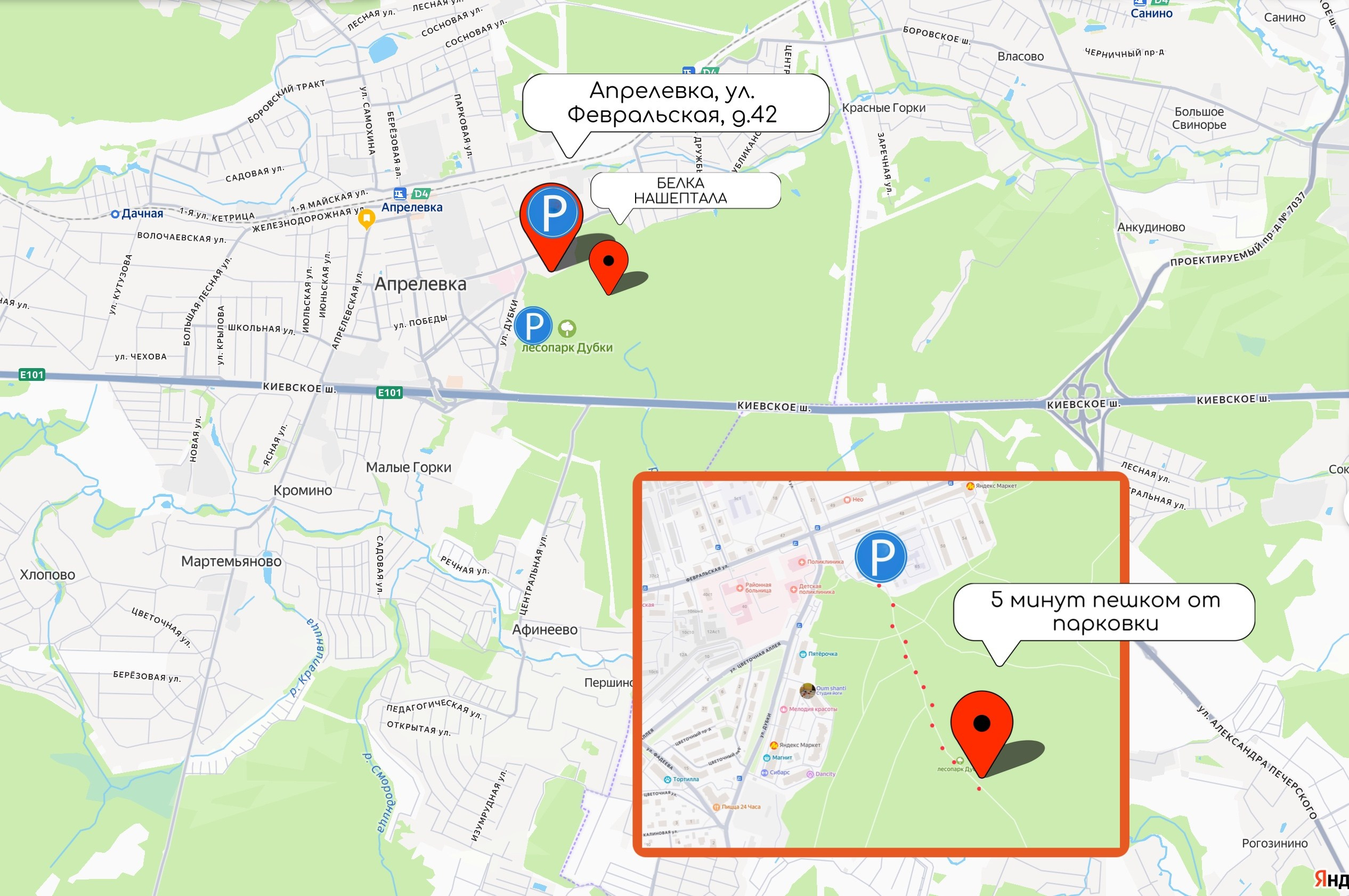 Контакты. Кафе «БЕЛКА НАШЕПТАЛА». Ну оооочень концептуальное кафе