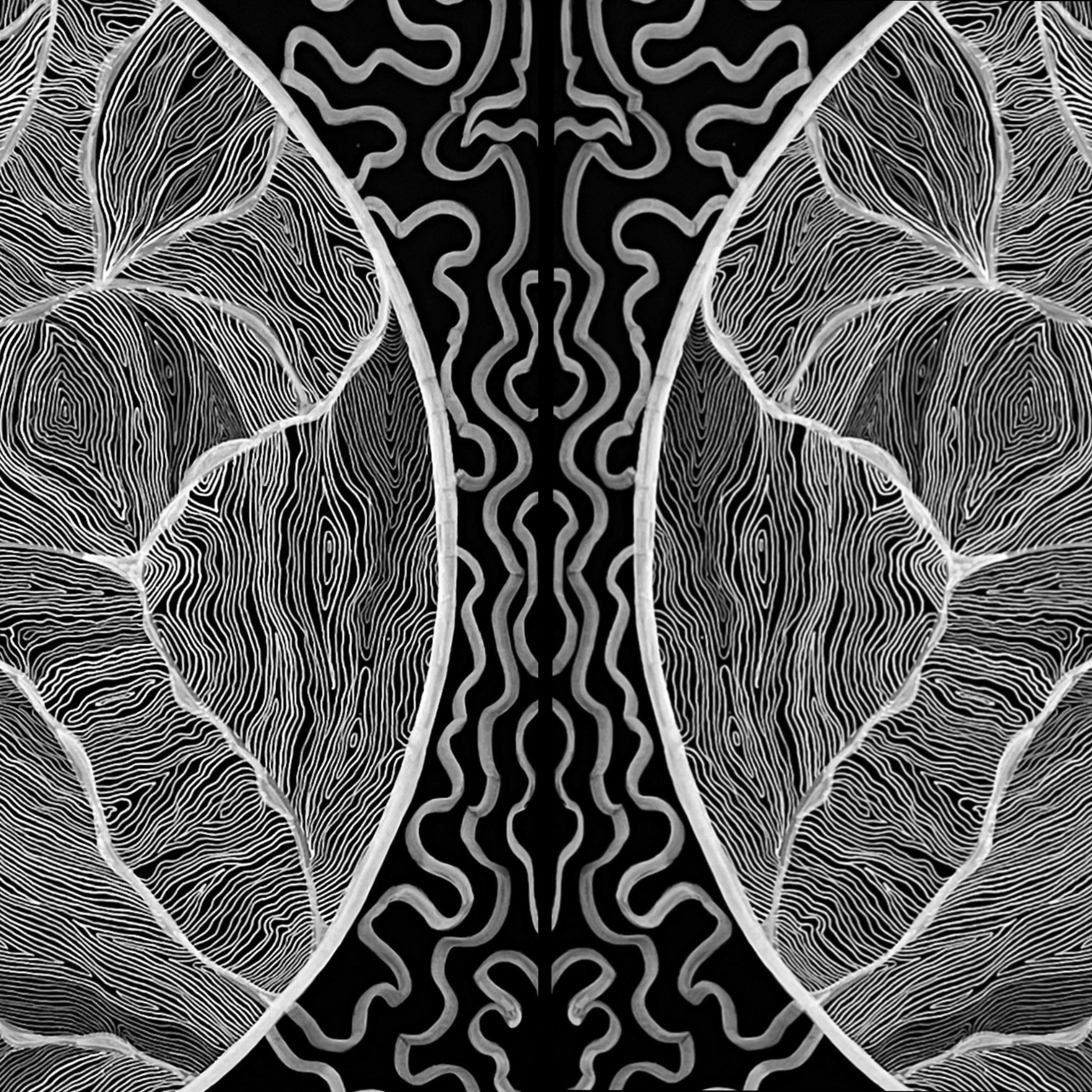 Портфолио. Концептуальный художник Сушкова Софья Москва