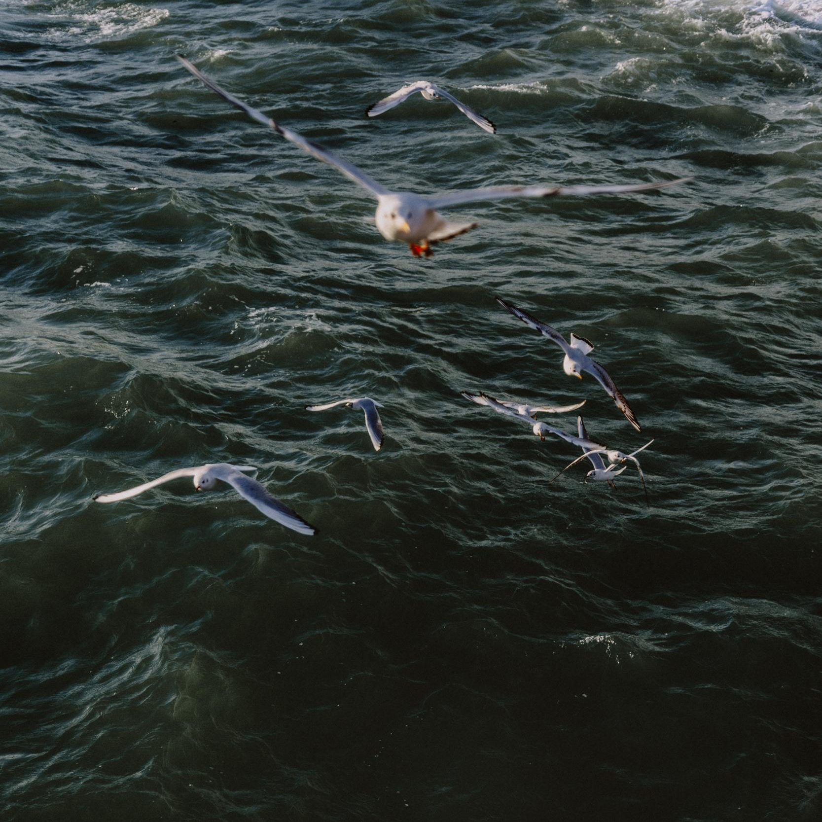 Фотограф в Москве и Санкт-Петербурге Саша Кар