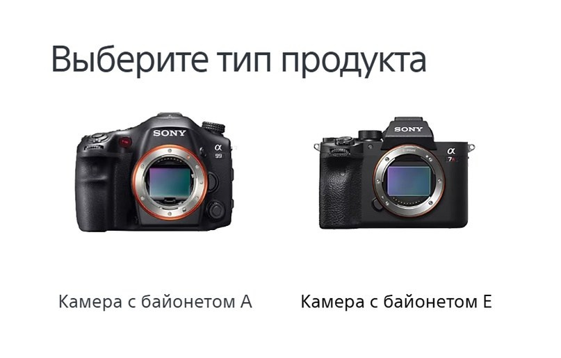 Сони. Международная онлайн фотошкола