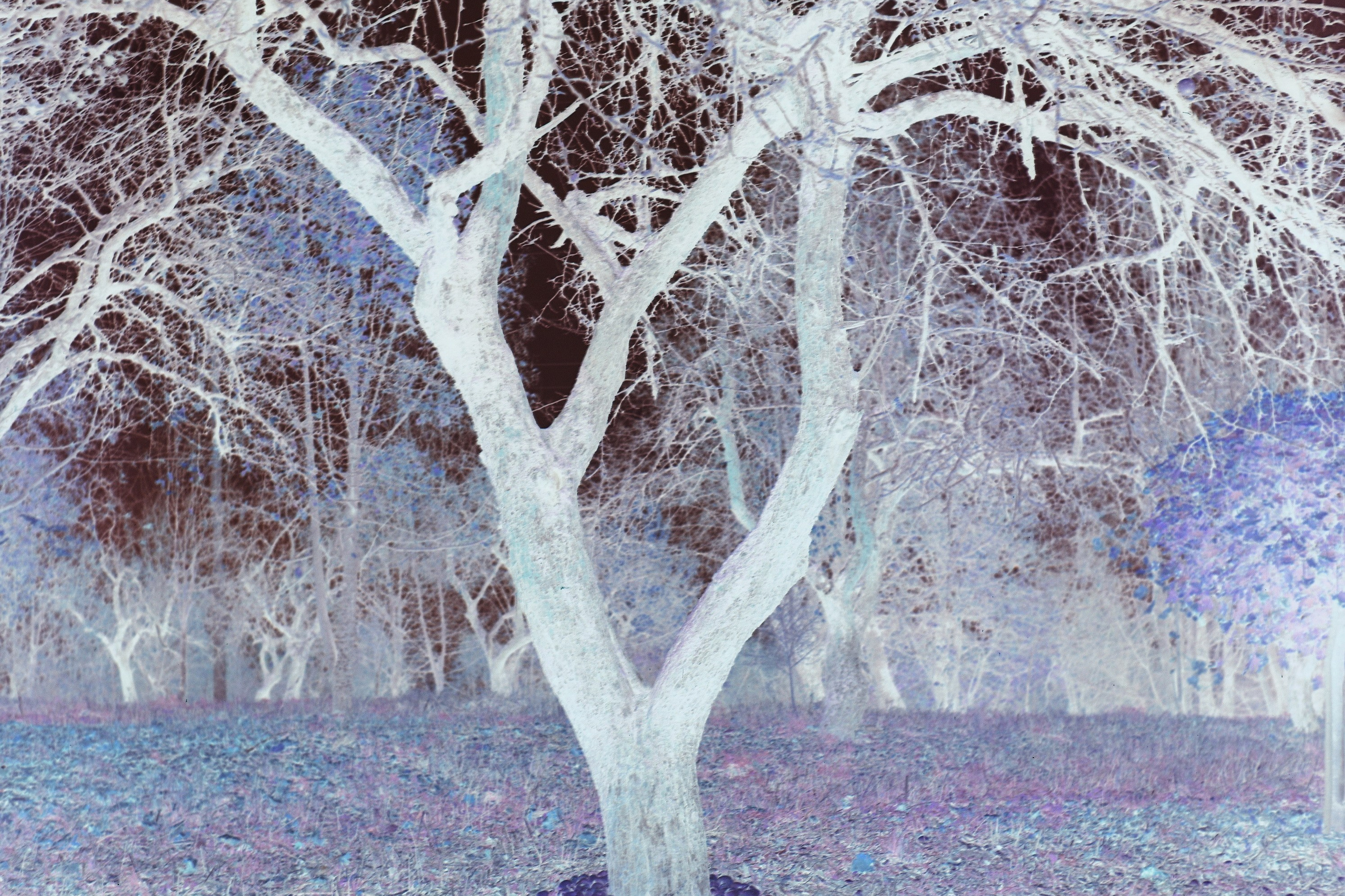 Think a project | Работы студентов. Private image