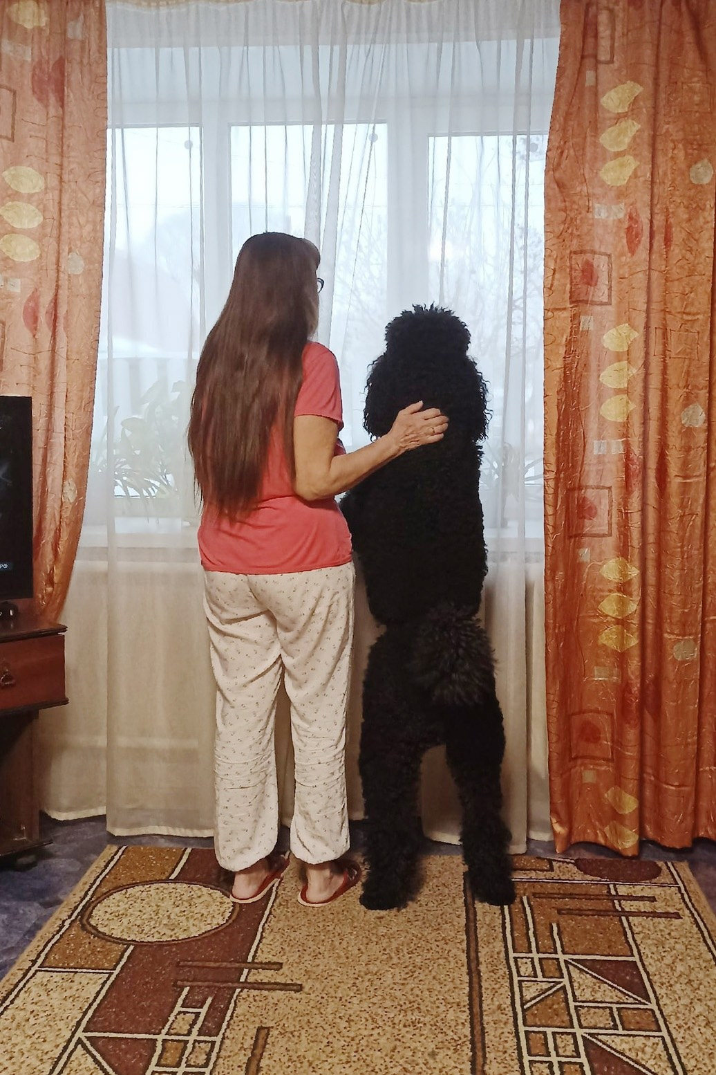 Собачье дело. Фотостудия Портрет Свадебный и семейный фотограф в Рязани