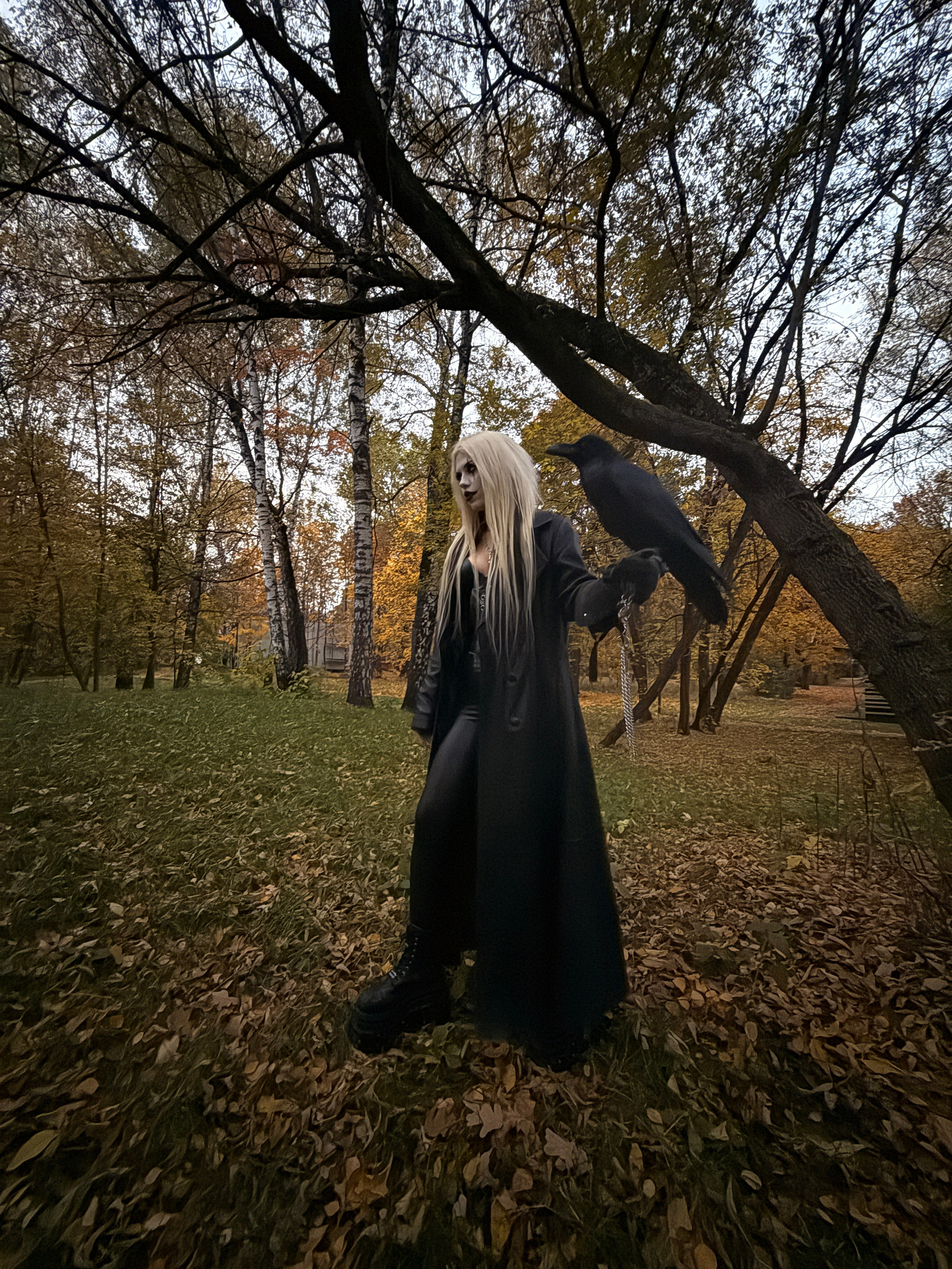 Фото и видеосъемка с черным вороном в Москве