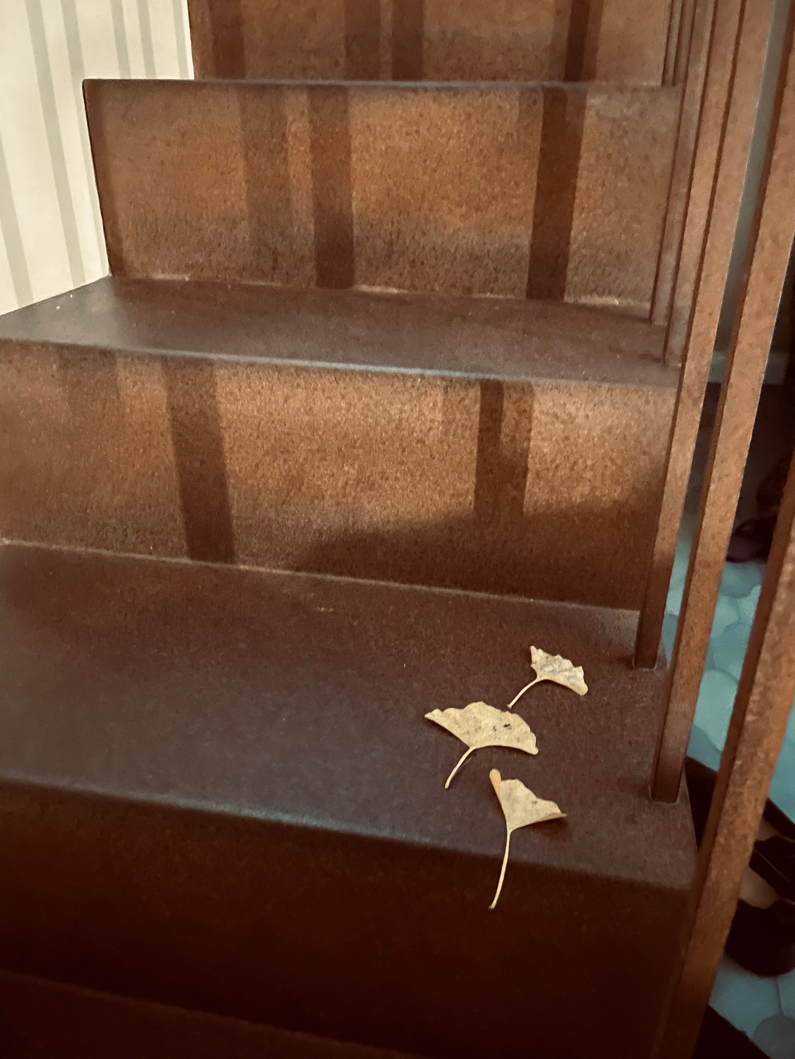 Один час из жизни Анны. Визуальный художник Лиана Даренская, Москва