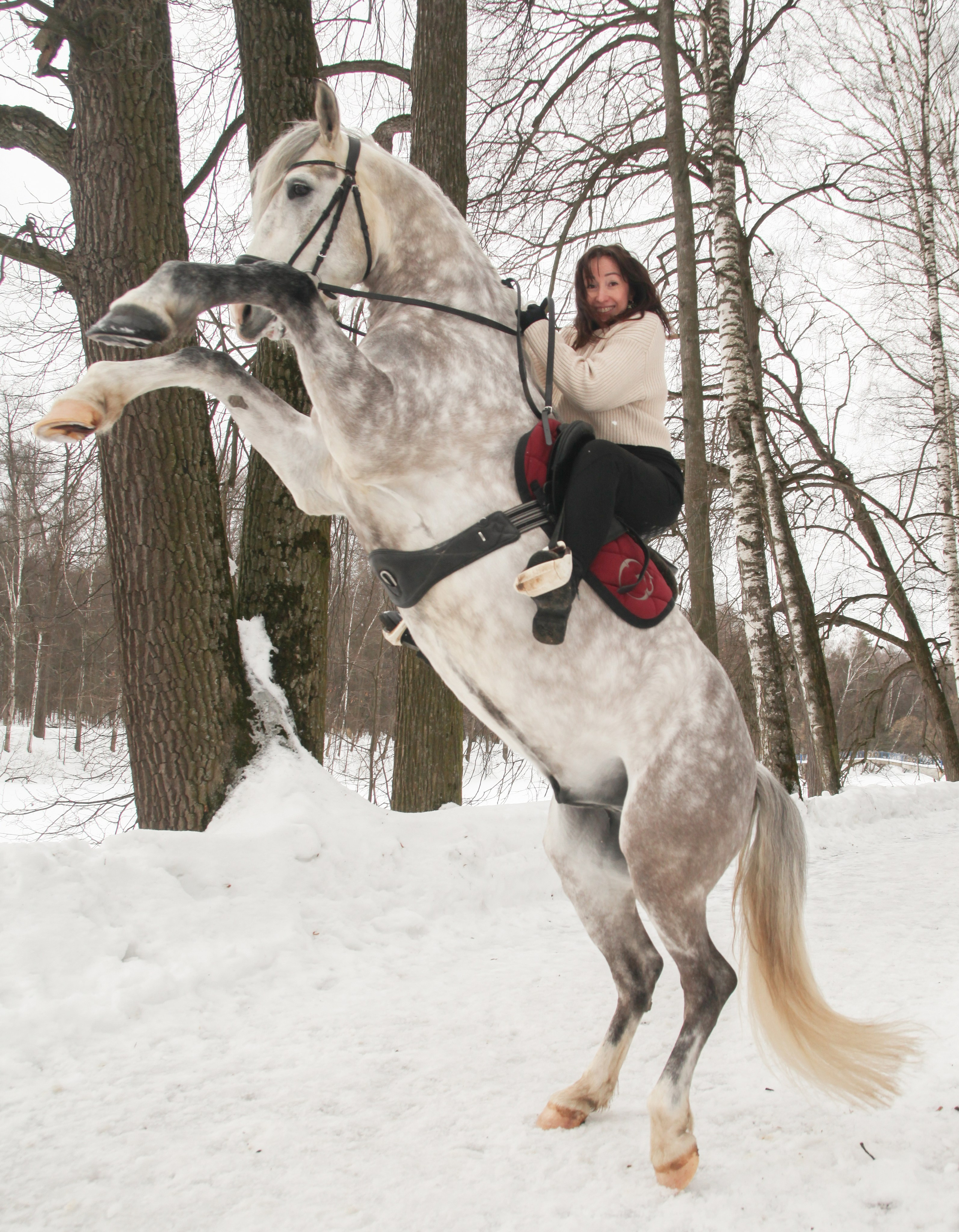 Фотограф с лошадьми в Москве