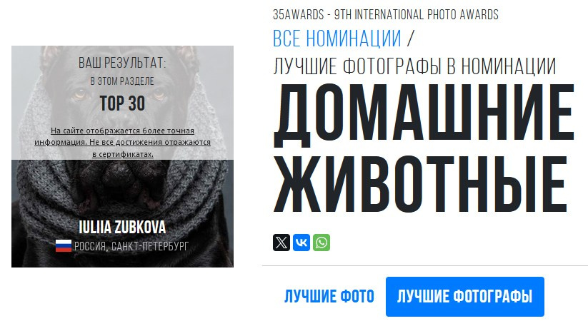 Мои достижения. Фотограф-анималист Юлия Зубкова