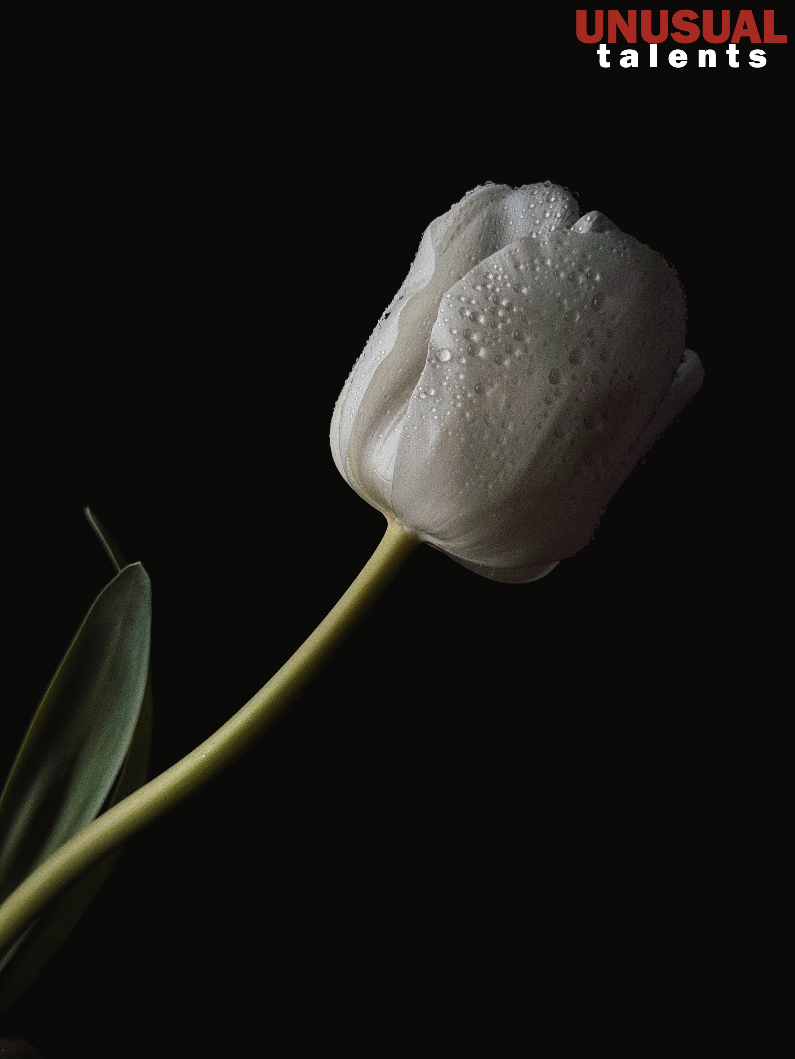 Viktoria Suponya. UNUSUAL TALENT magazine