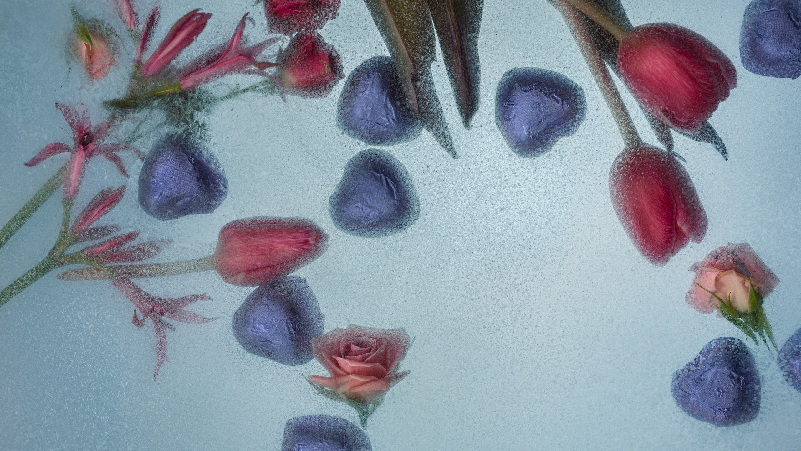 Победа шоколадная фабрика. Дима Меткин. Фотограф и режиссер (Москва)