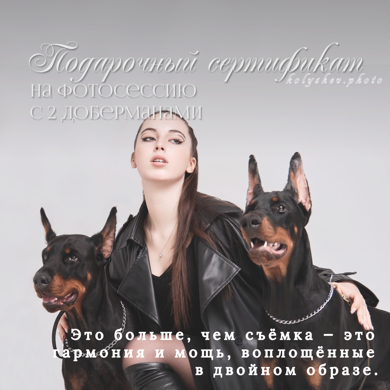 Сертификат на фотосессию в Москве и Подмосковье. Портретный фотограф на новый год в Москве Виктория Колышева