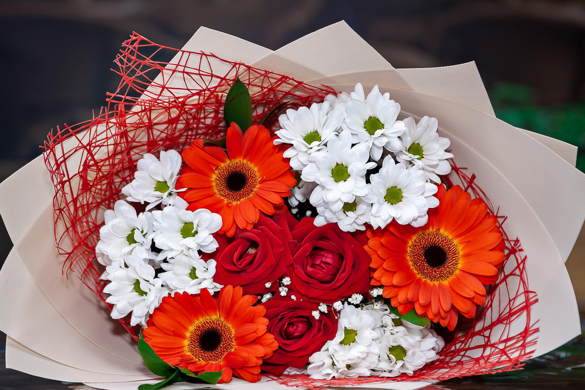 Контакты. Детский, семейный фотограф в Южно-Сахалинске, Невельске и Холмске