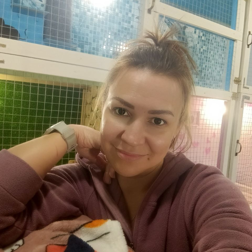 Контакты. Гостиница для кошек Усики и хвостики, Красноярск