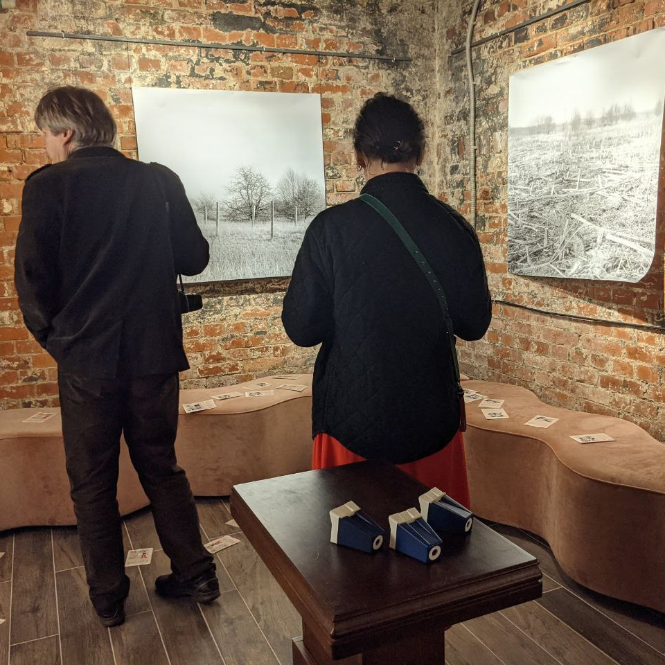 Персональная выставка «День без числа» в Гусевском музее. Julia Gorbunova