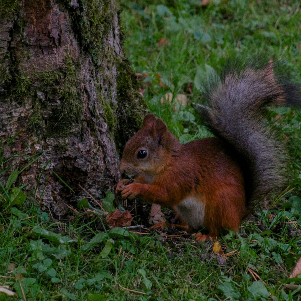 Контакты. Фотограф Михаил Мирущенко