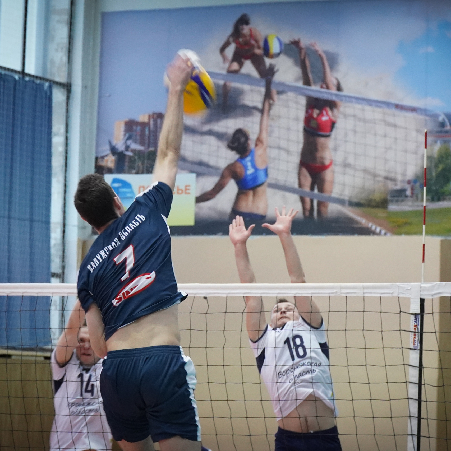 УСЛУГИ и ЦЕНЫ. Фотограф Наталья Погодина в г. Обнинске