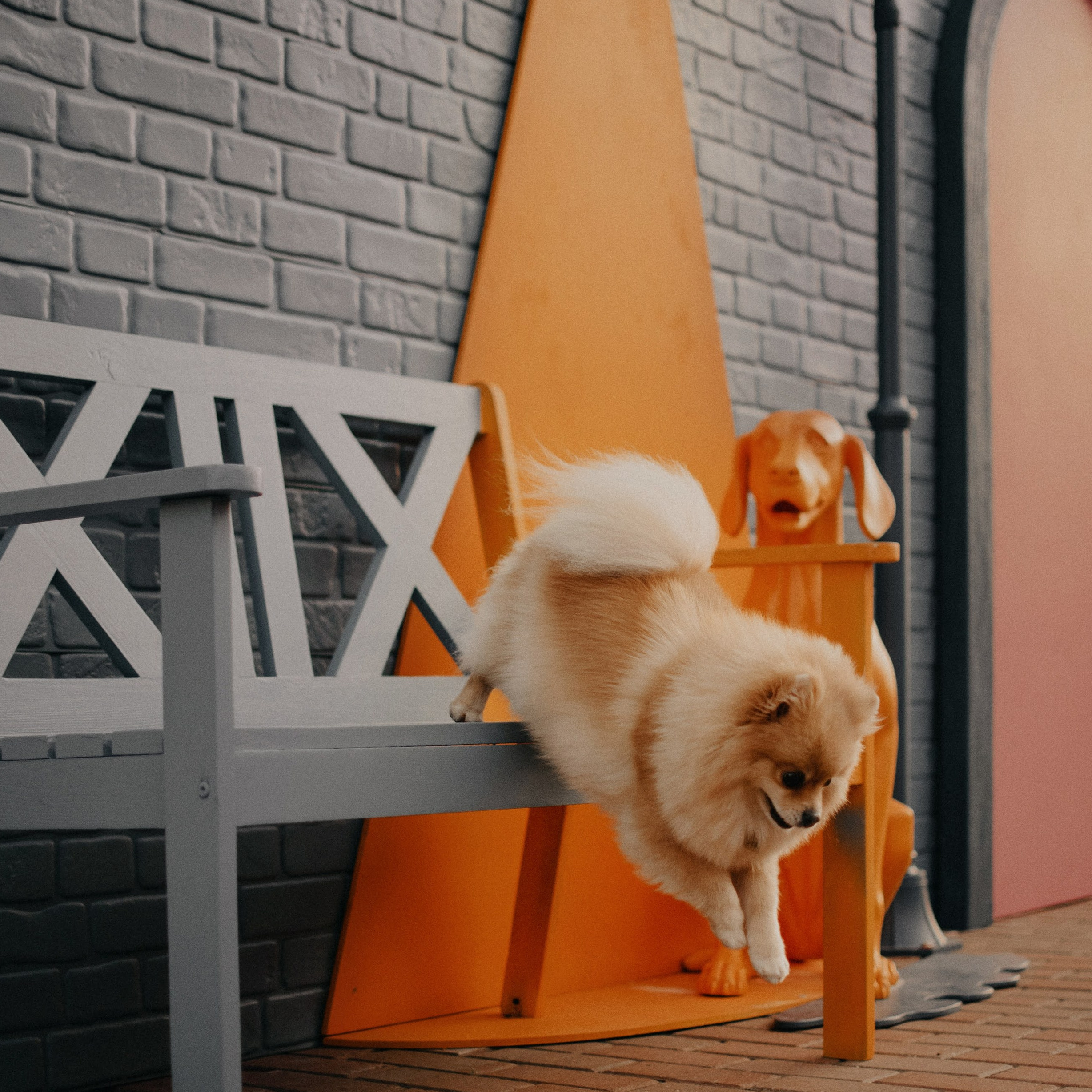 How it works. Photos of you and your pet