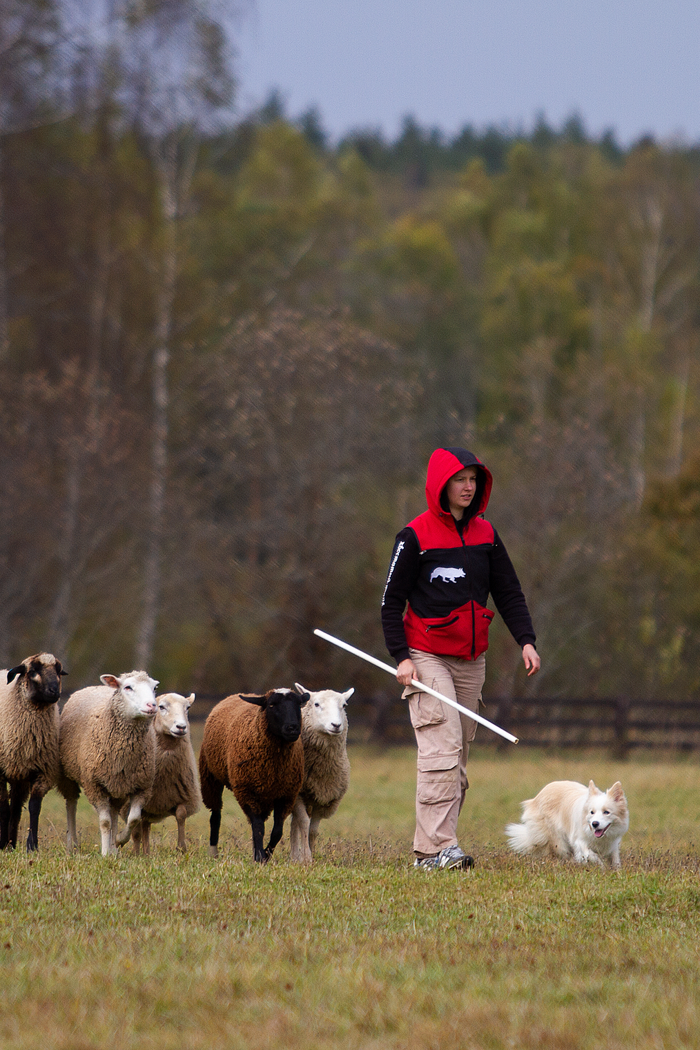 Друзья. Фотограф-анималист в Москве и МО Самойлова Марина