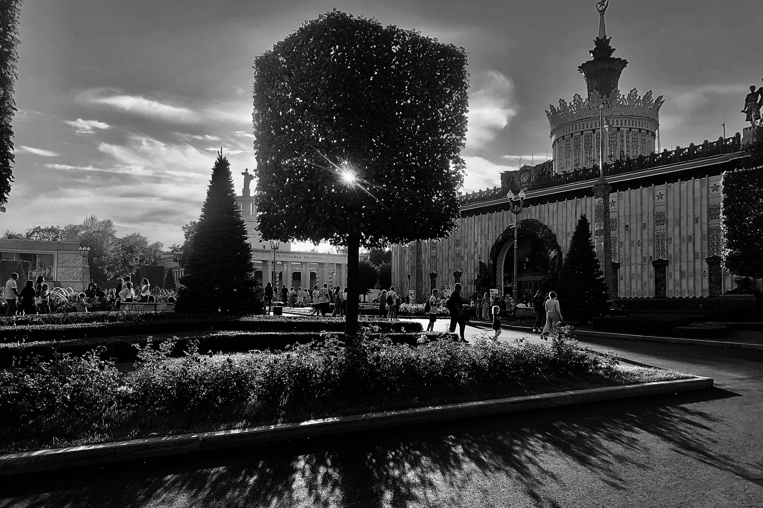 Никандрова Алёна. ARTEXPOPHOTO