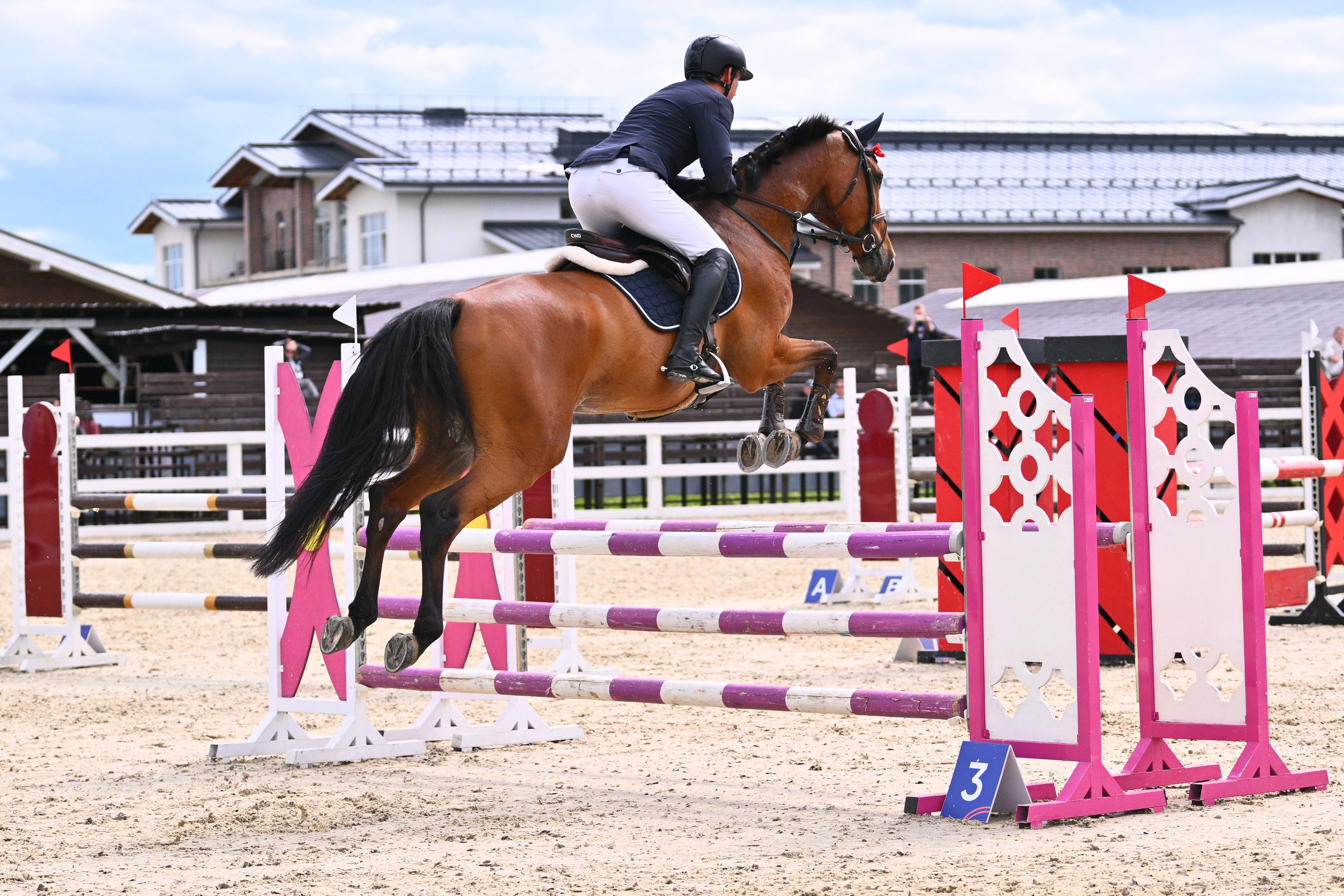 26 — 29 июля, КСК Хорсека, Дерби+муниципальное. ТУРНИРНАЯ КОННАЯ ФОТОГРАФИЯ, Руднева Ольга и Евгений Адеев