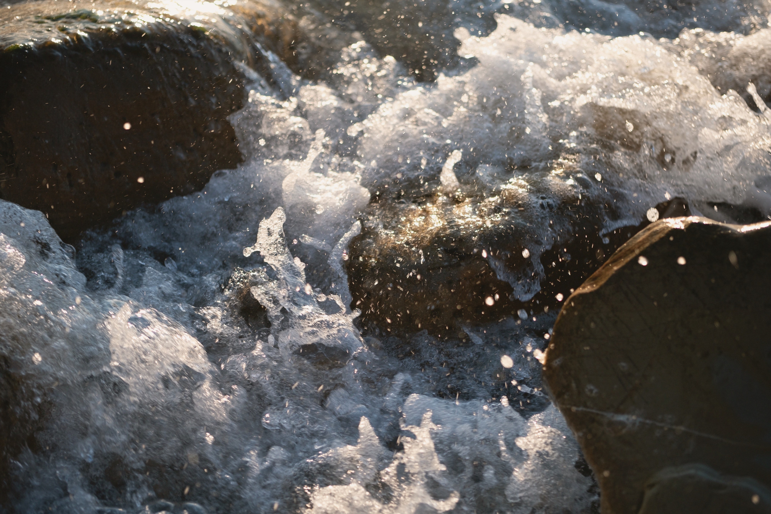 ARTIST FEARS. Alyona Rubanova — Visual artist