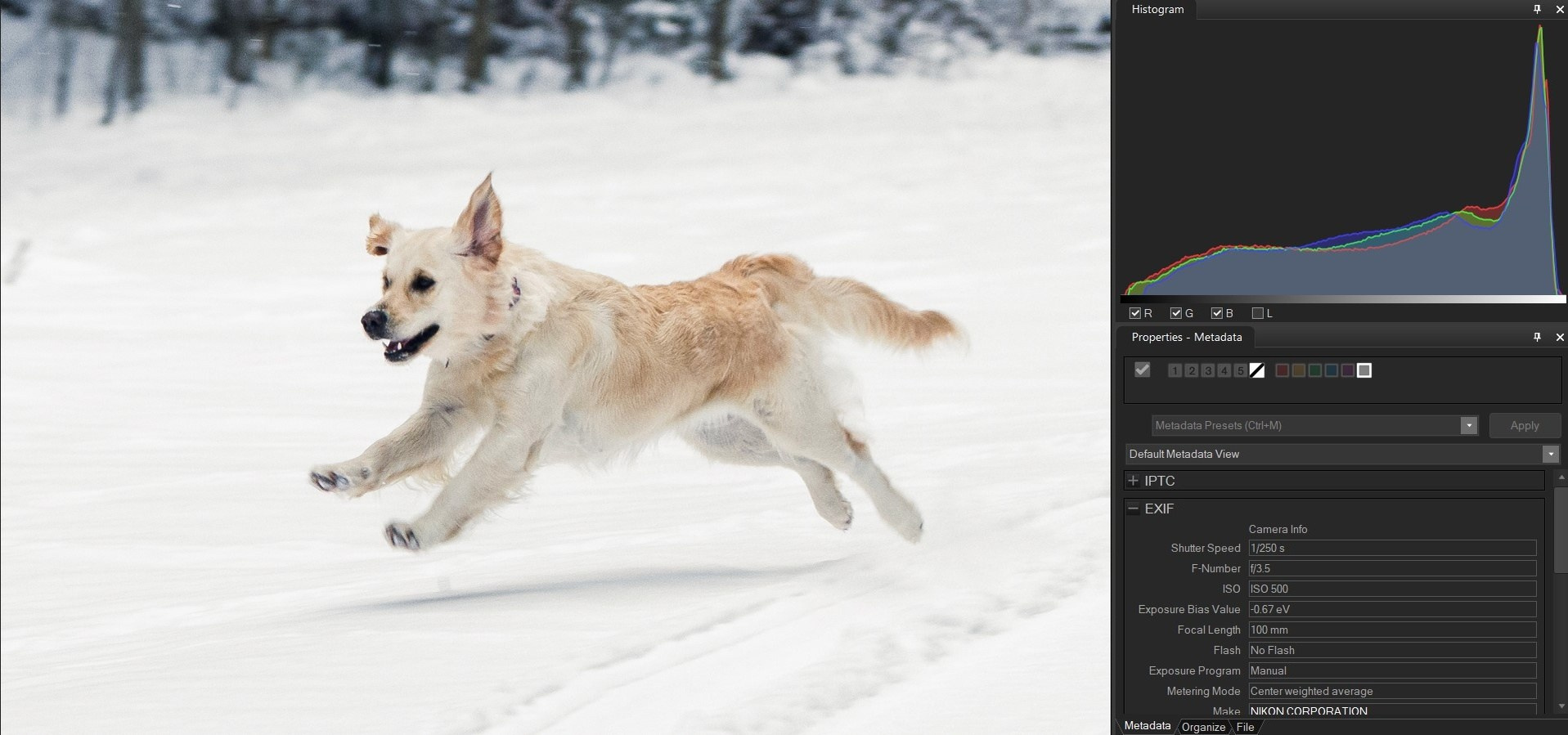Гистограмма. Документальный фотограф Сергей Вдовин