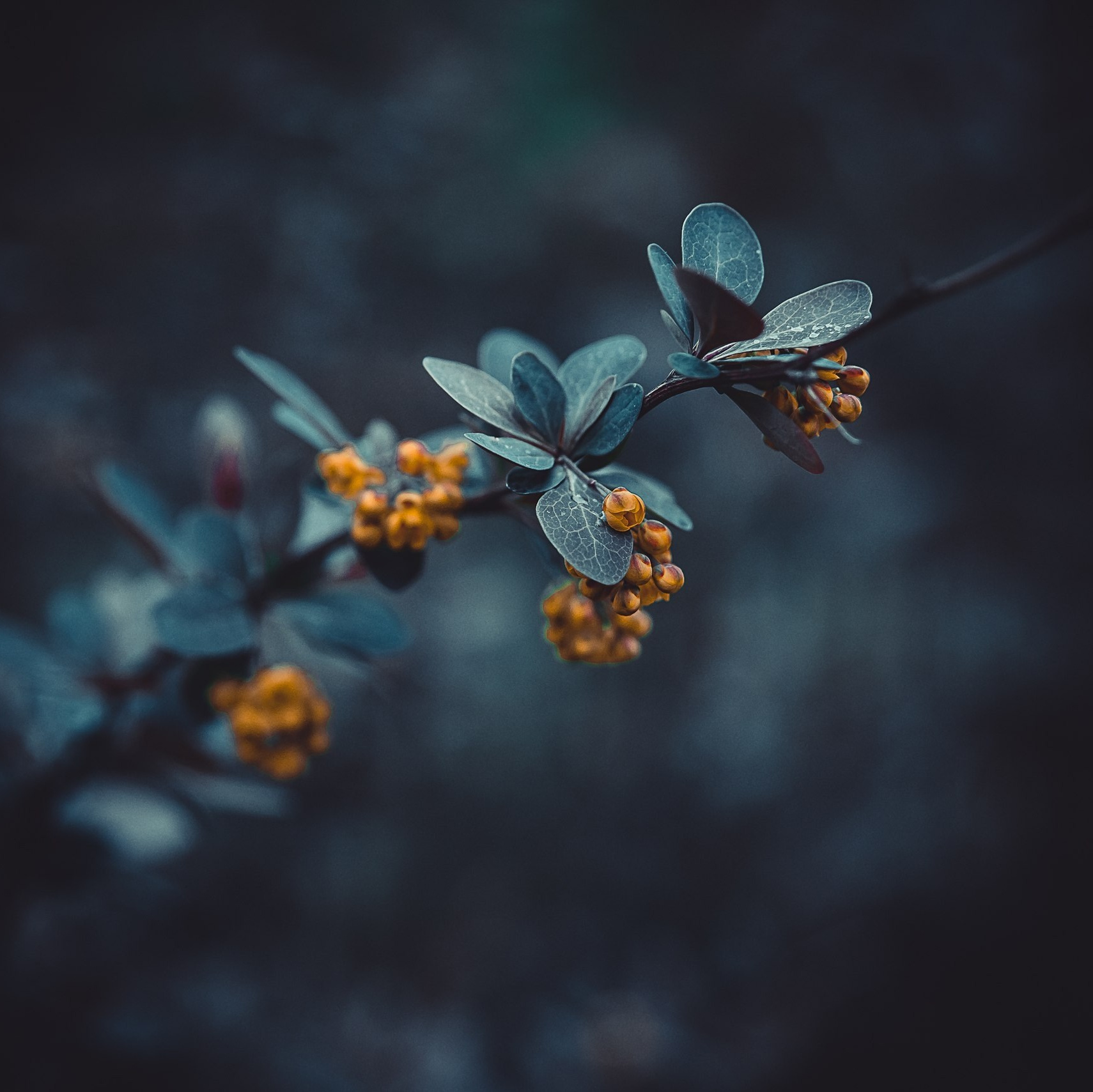 Контакты. Photographers Sergey & Ksenia