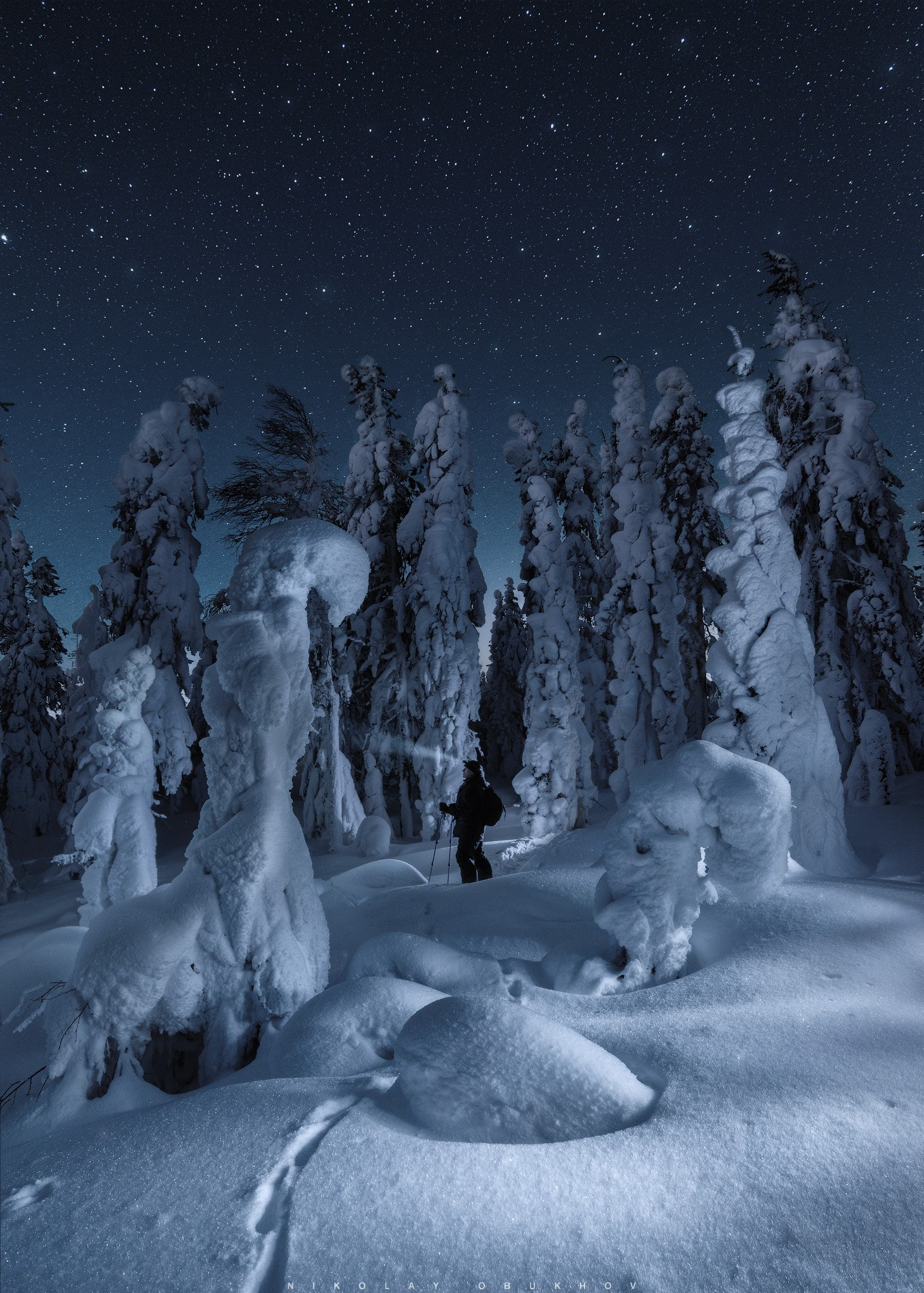 Как фотографировать лес ночью. Автор: Николай Обухов.
