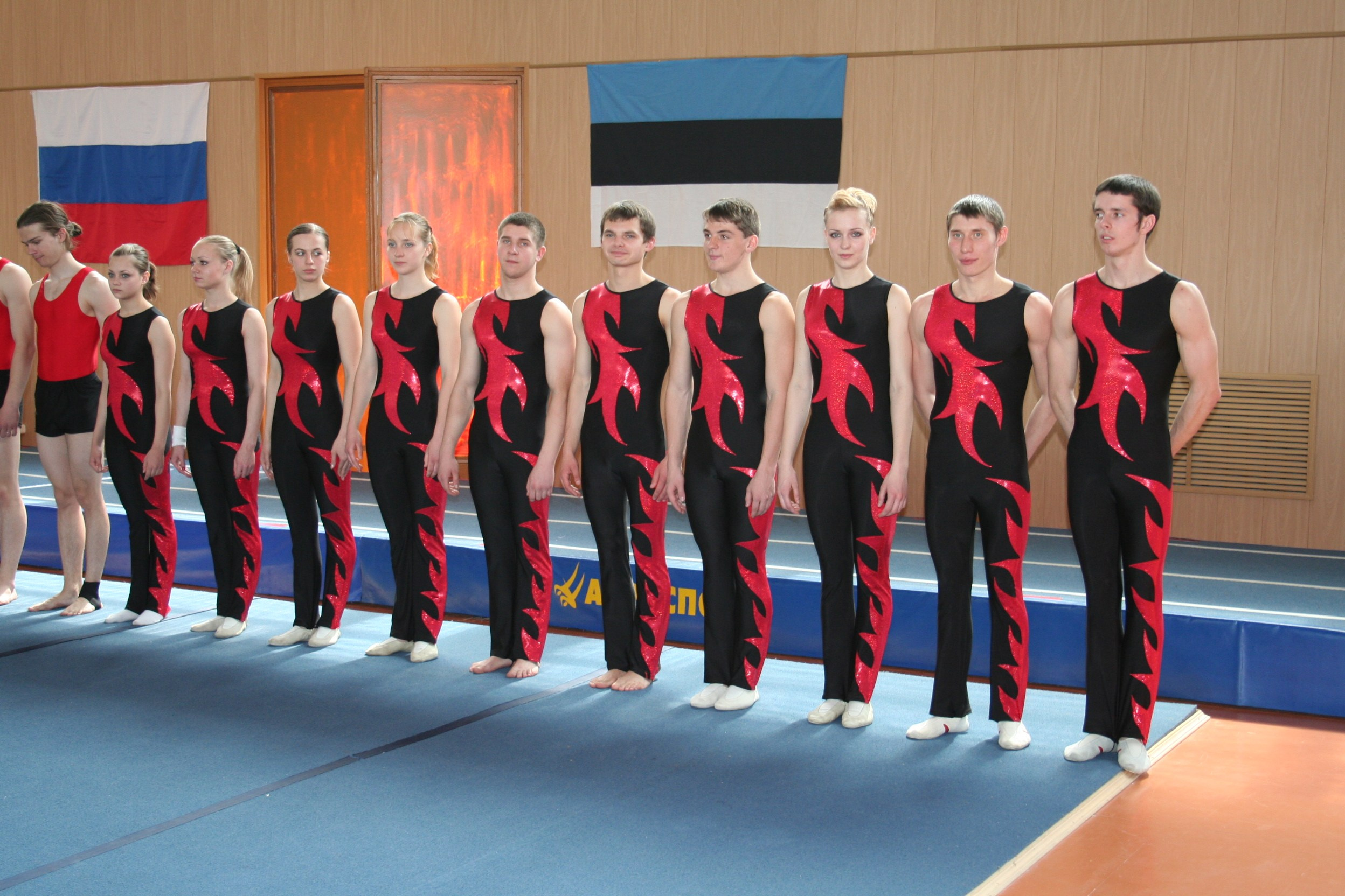 История возникновения. Федерация Командной Гимнастики России