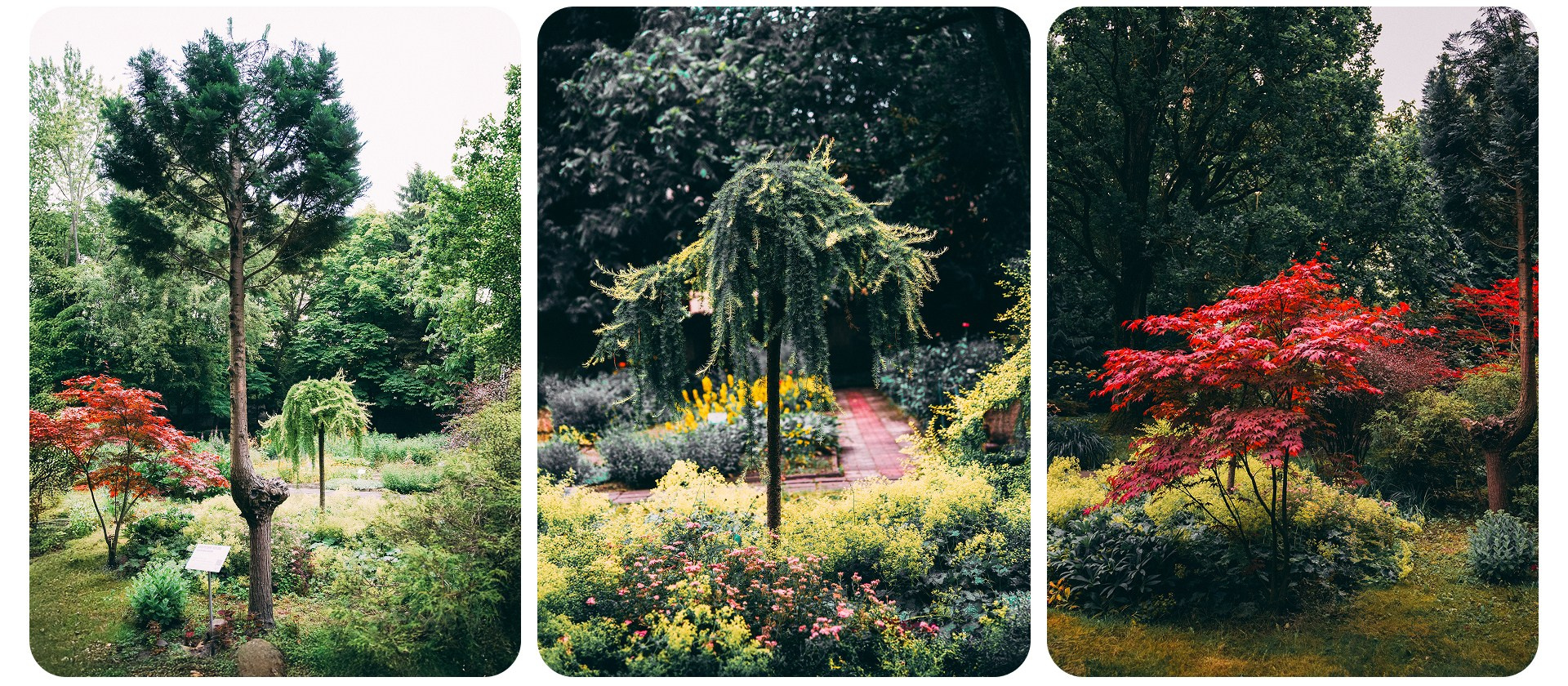 Калининград 3. Фотограф из Москвы — DASHA NOVA | Авторская фотография в разных жанрах