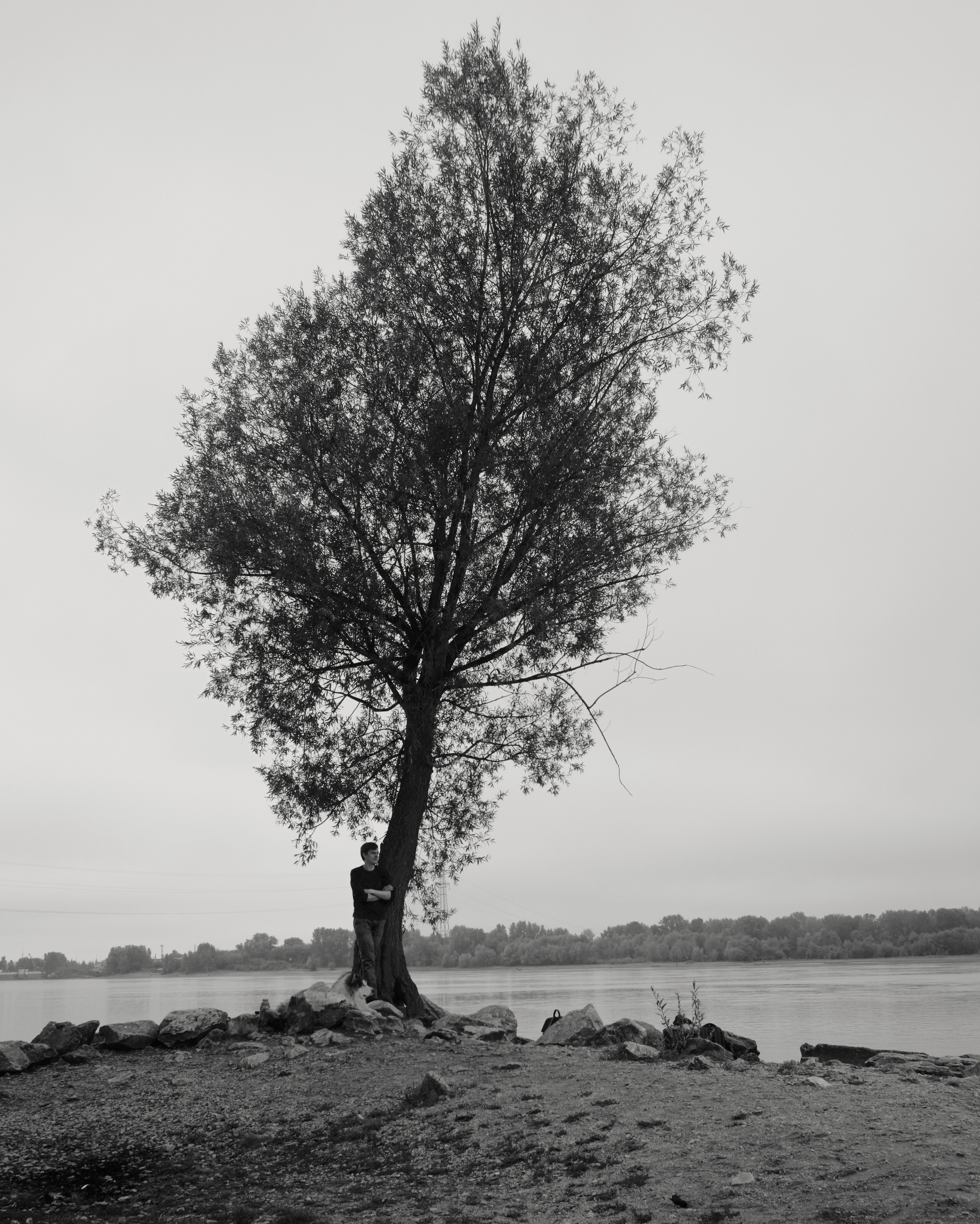 Интервью с чайным мастером Савелием Сорокиным — Белая панда. Семейный фотограф в Новосибирске Артём Кузнецов