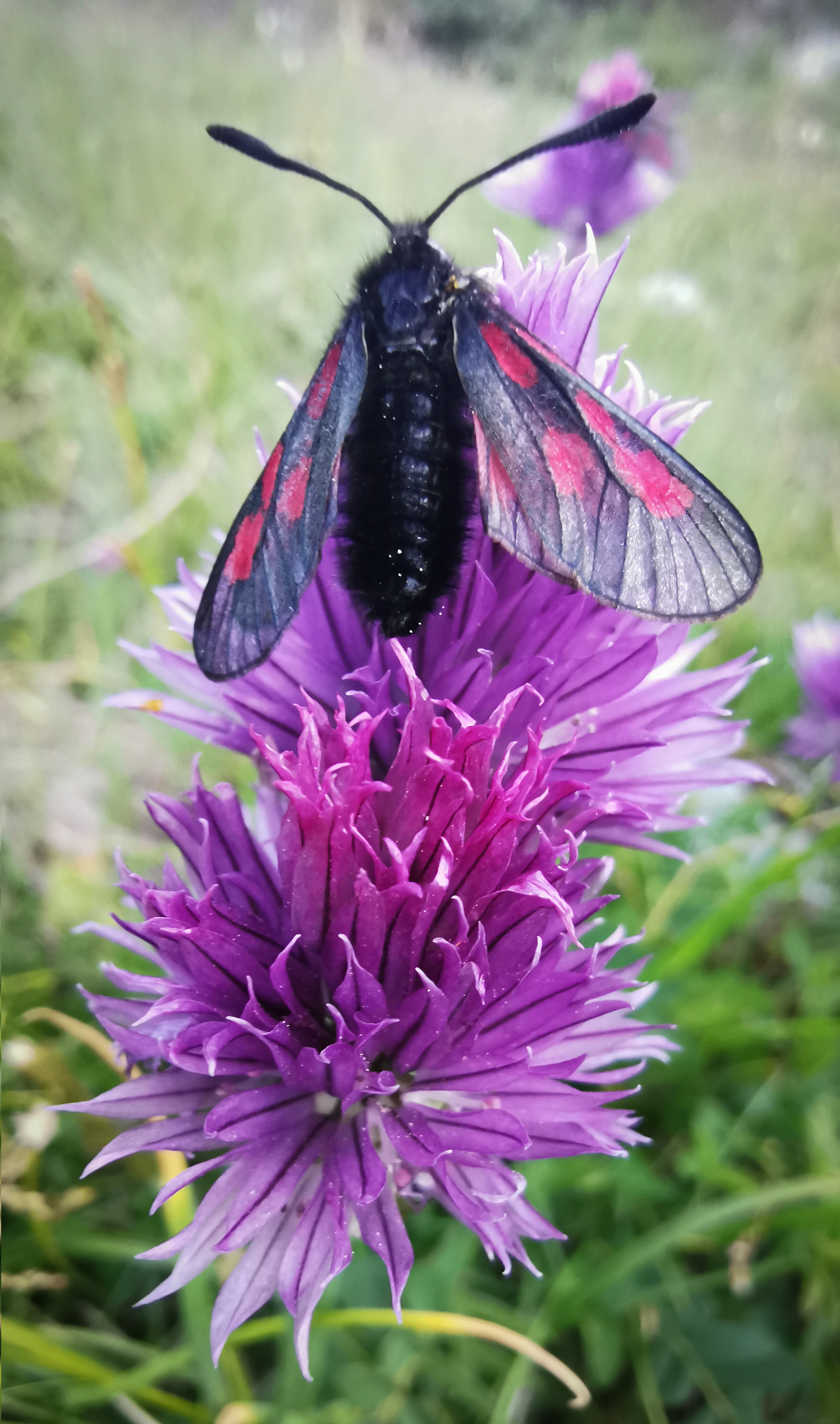 Ущелье водопадов. Профессиональный пейзажный фотограф Алёна Рубан