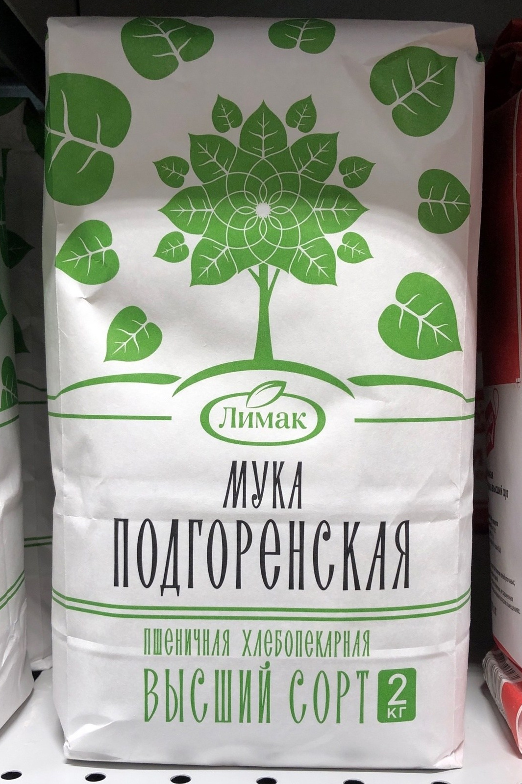 St-brigantina. Alexander Stan Shimanov