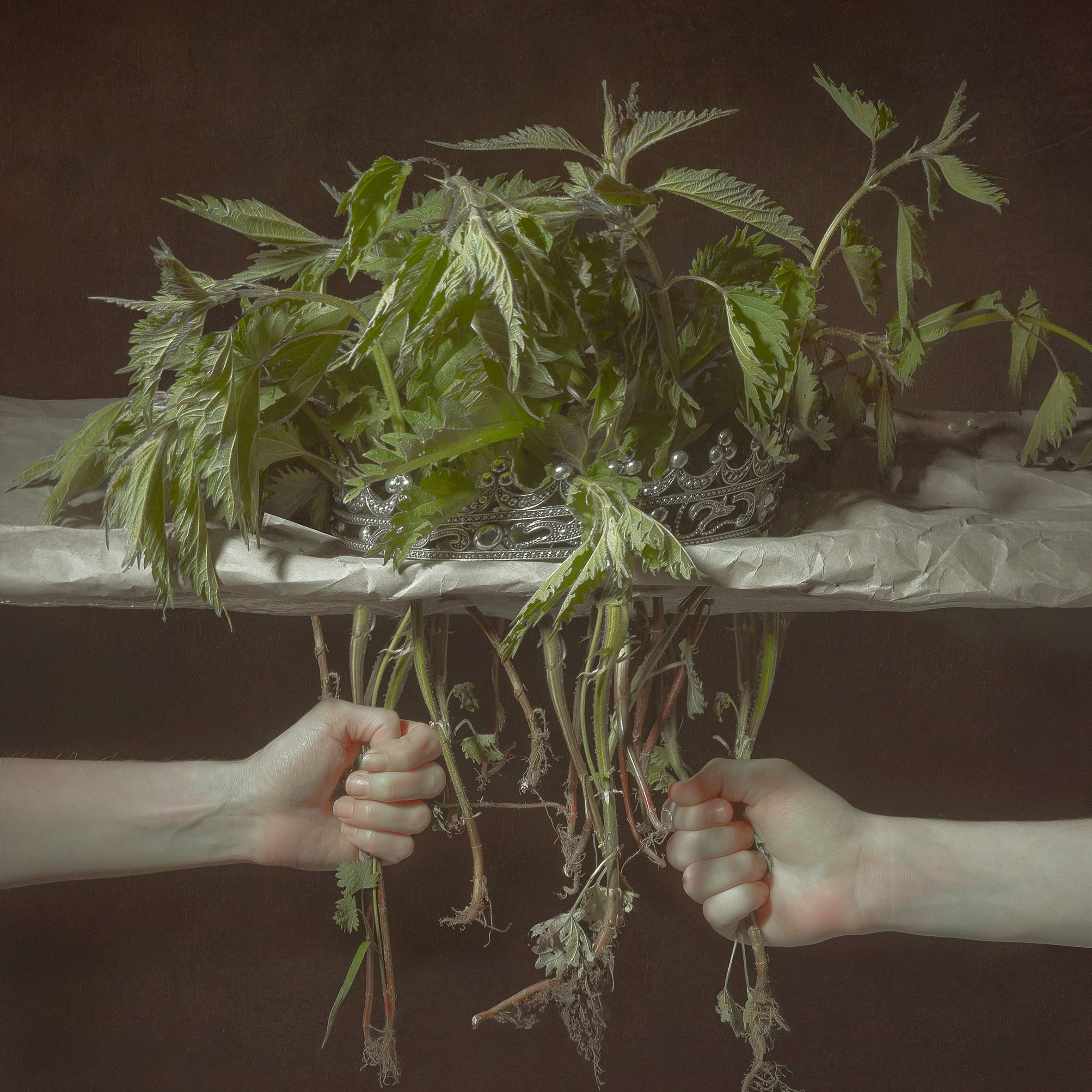 Работы приобрести. Фотохудожник АРТ-фотограф Ира Будниченко Москва