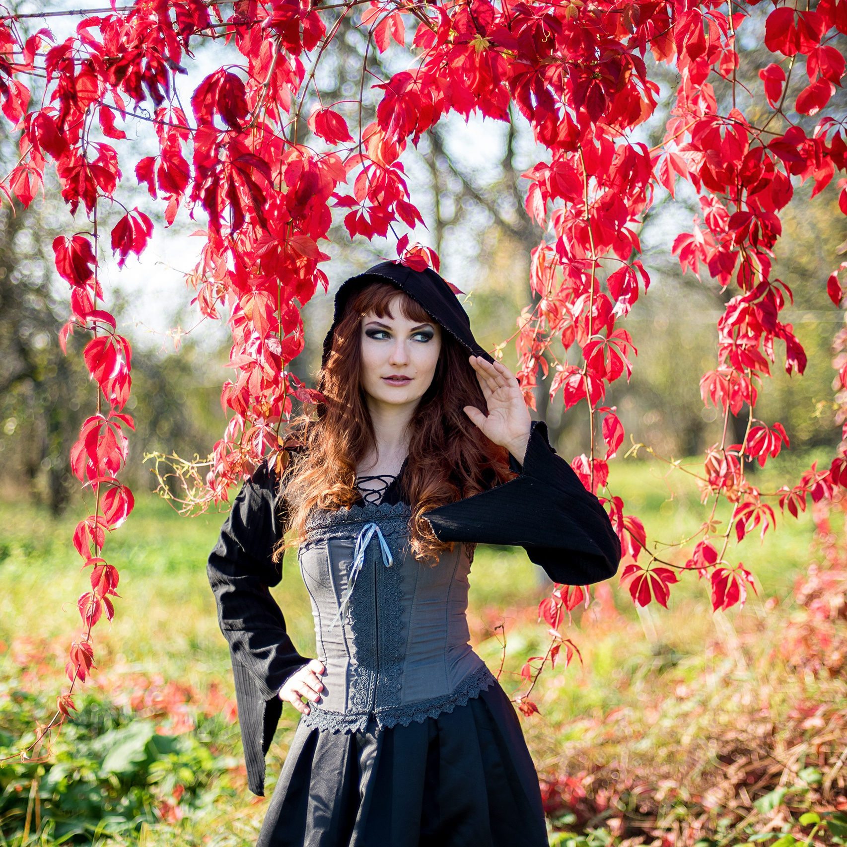 Тарифы осенние съемки. Фотограф Татьяна Толстых (Москва, Калуга, Обнинск)