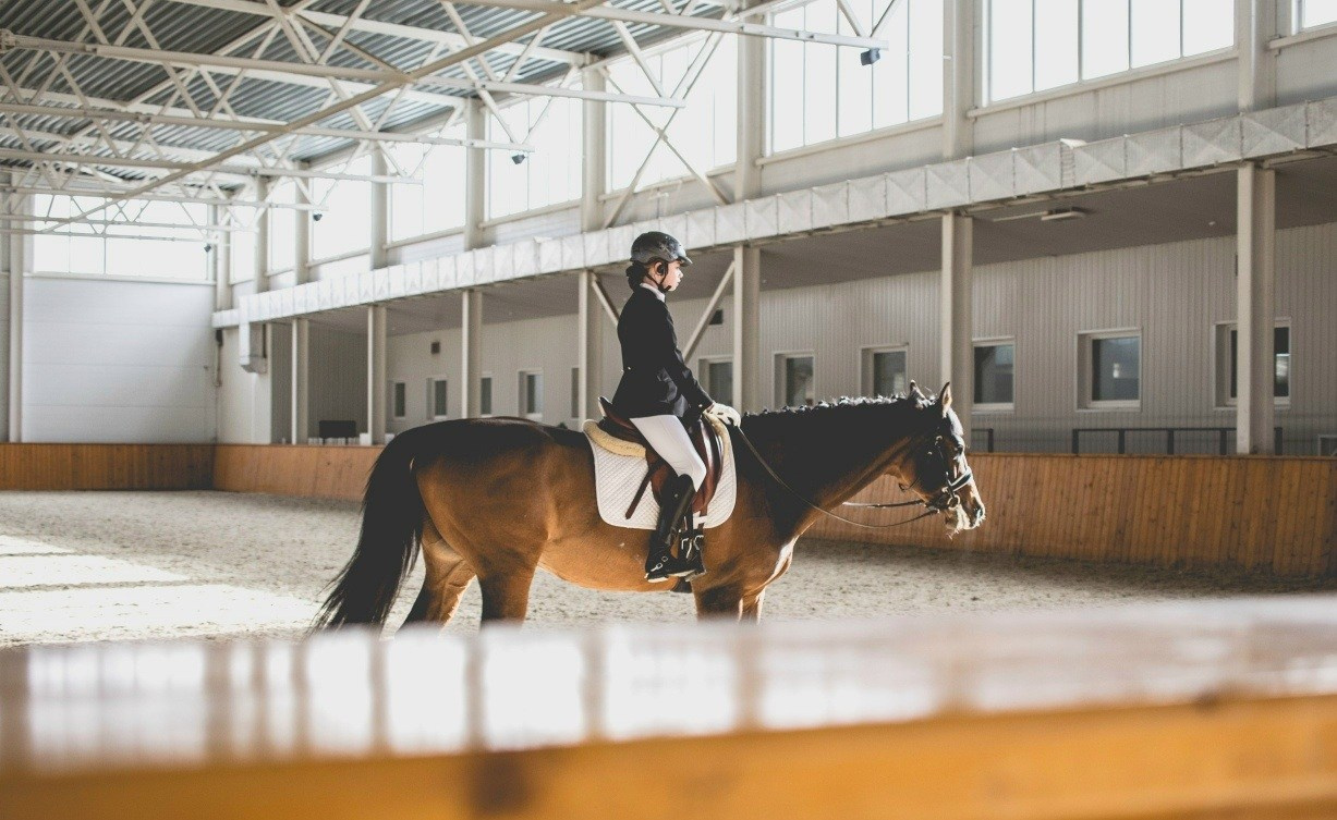 Выездка, соревнования по конному спорту КСК Конкорд, фотосессии с лошадьми.