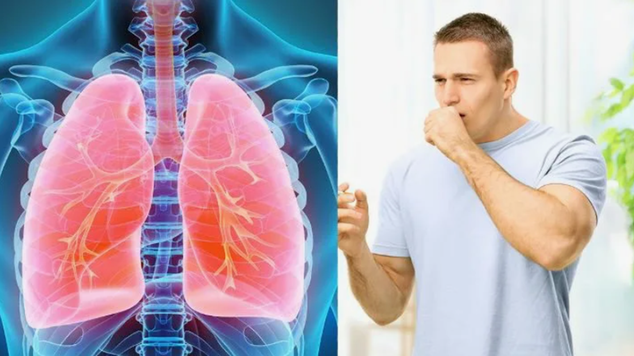 Какие препараты компании Сово-Сова помогут очистить легкие