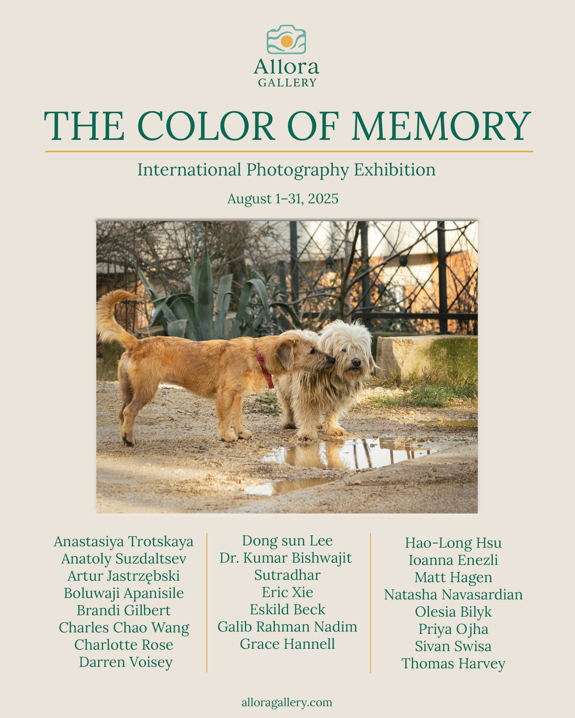 Выставочная история. Предметный фотограф в Минске Анастасия Троцкая