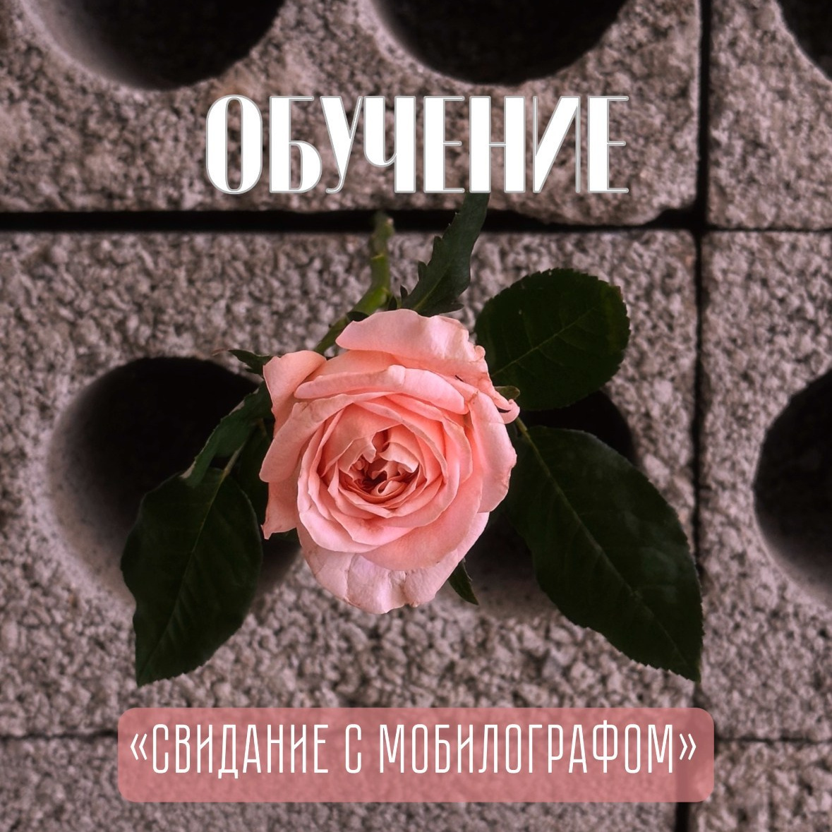 Мобильный фотограф и видеограф Сочи